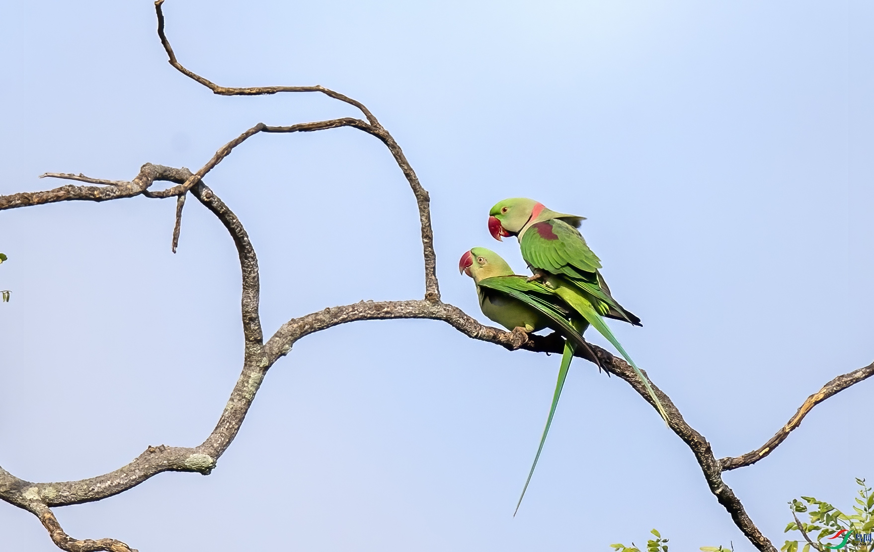 AC3I3579 ����.jpg