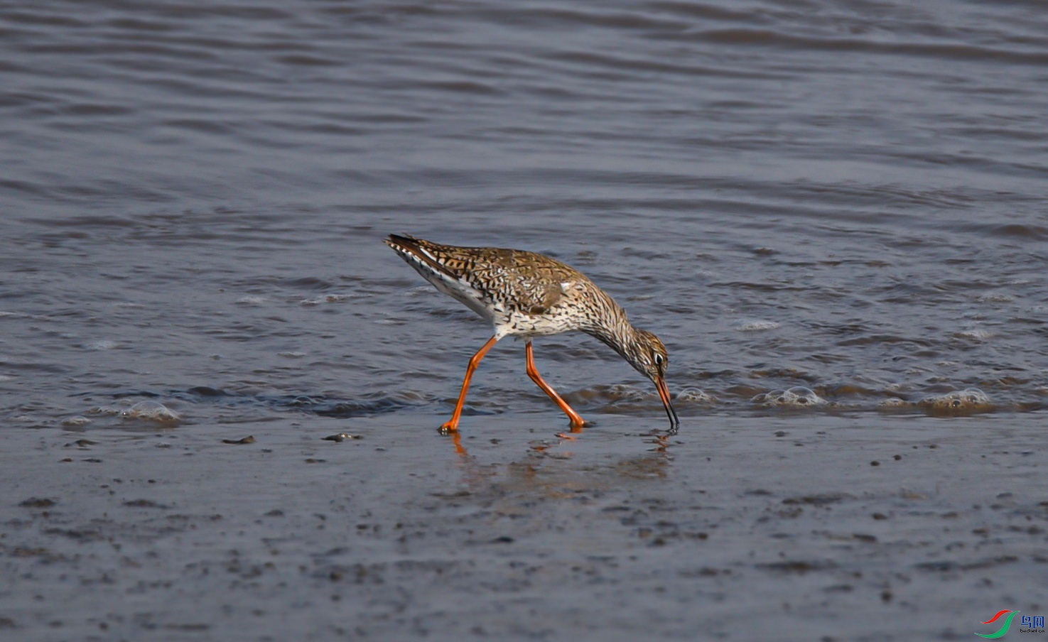 DSC_2219f.jpg