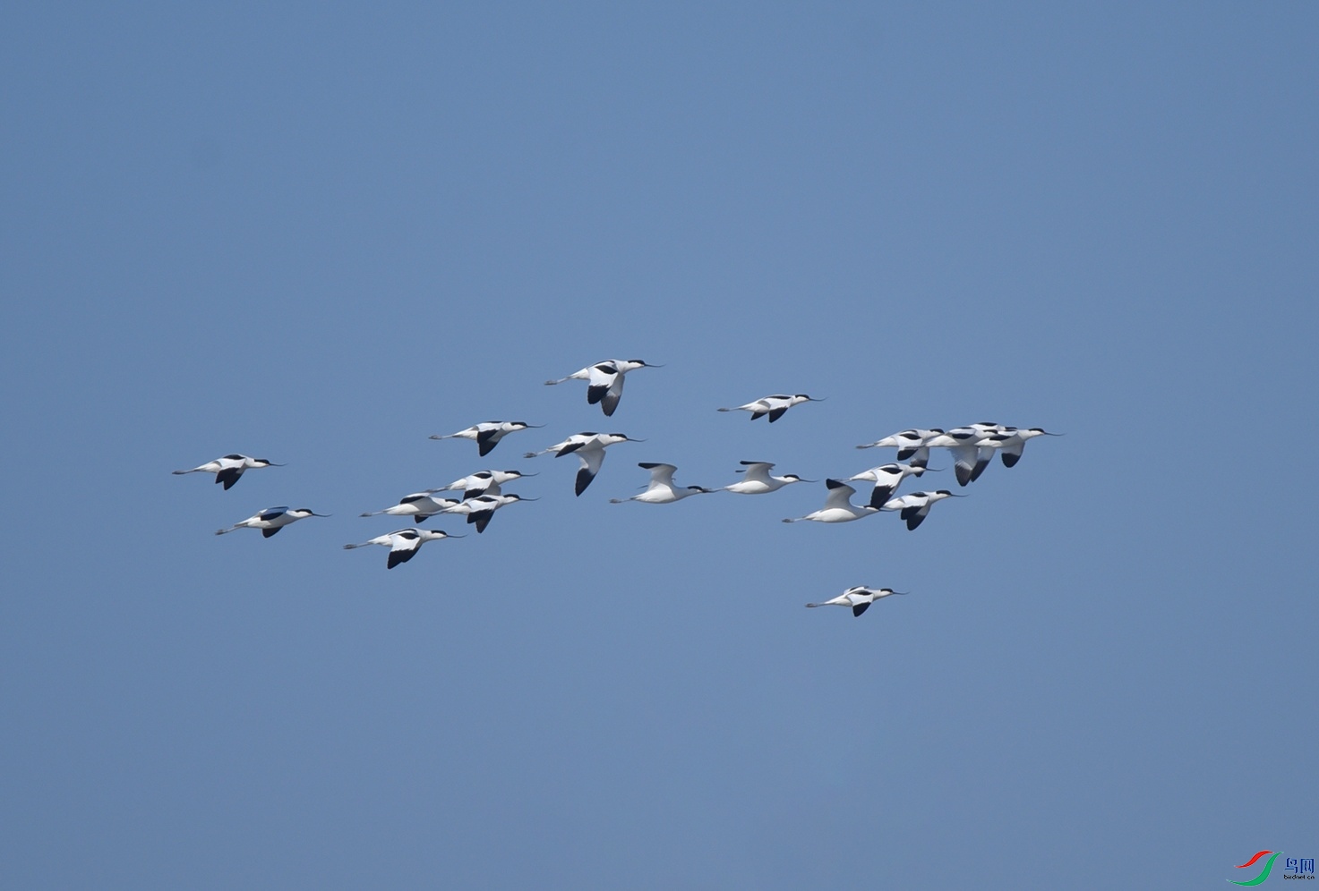 DSC_9529f.jpg