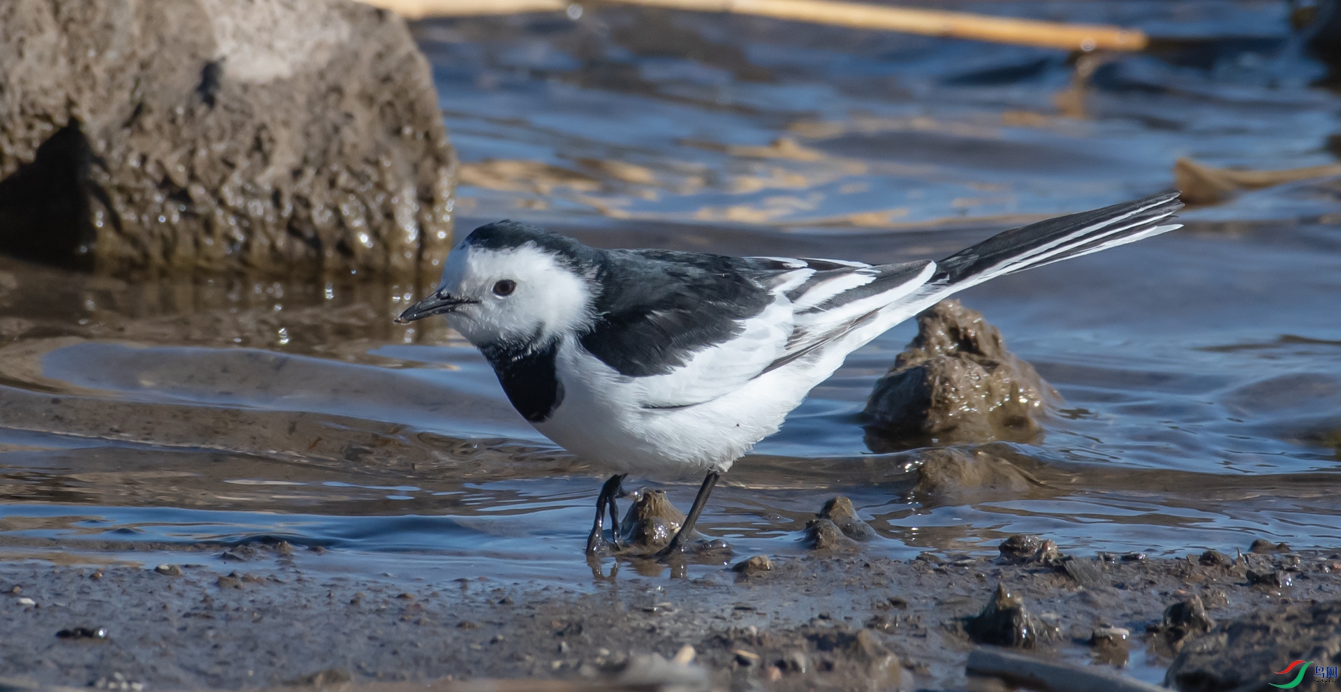 DSC_5360.jpg