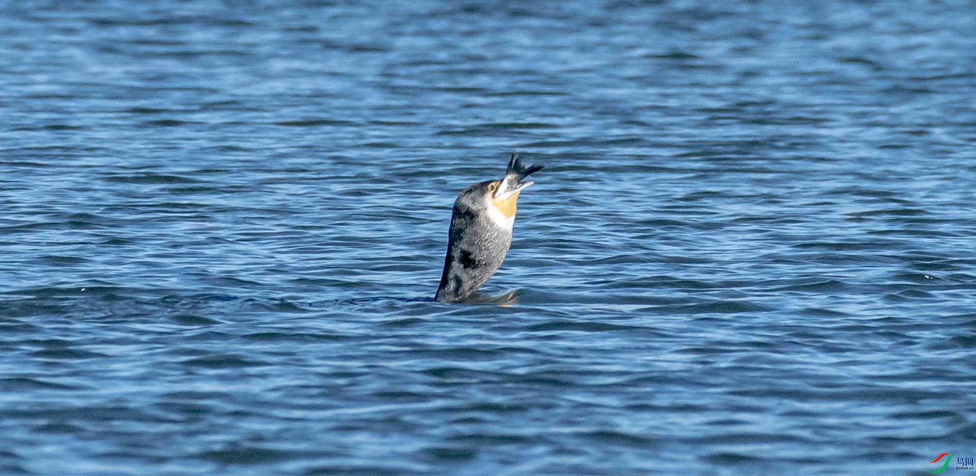 DSC_5424.jpg
