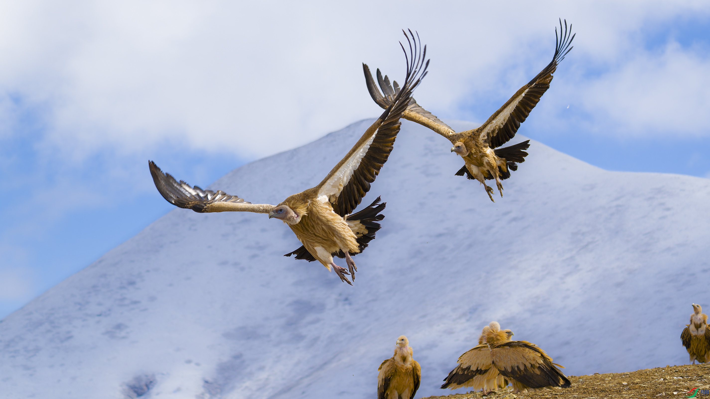 DSC_5609_DxO.jpg