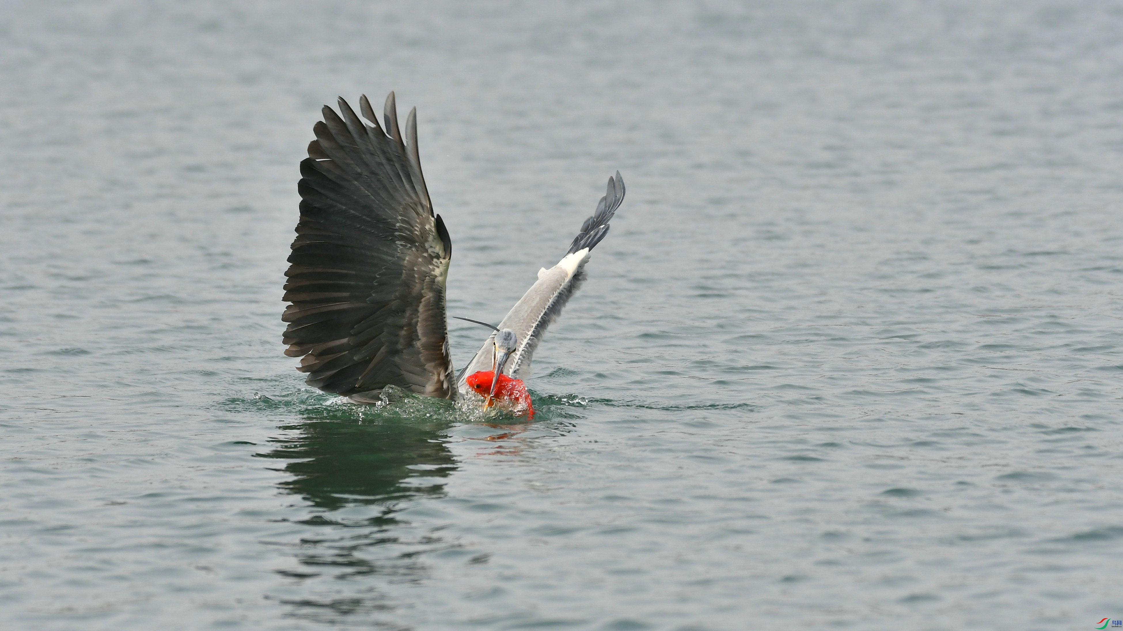 DSC_3615.JPG