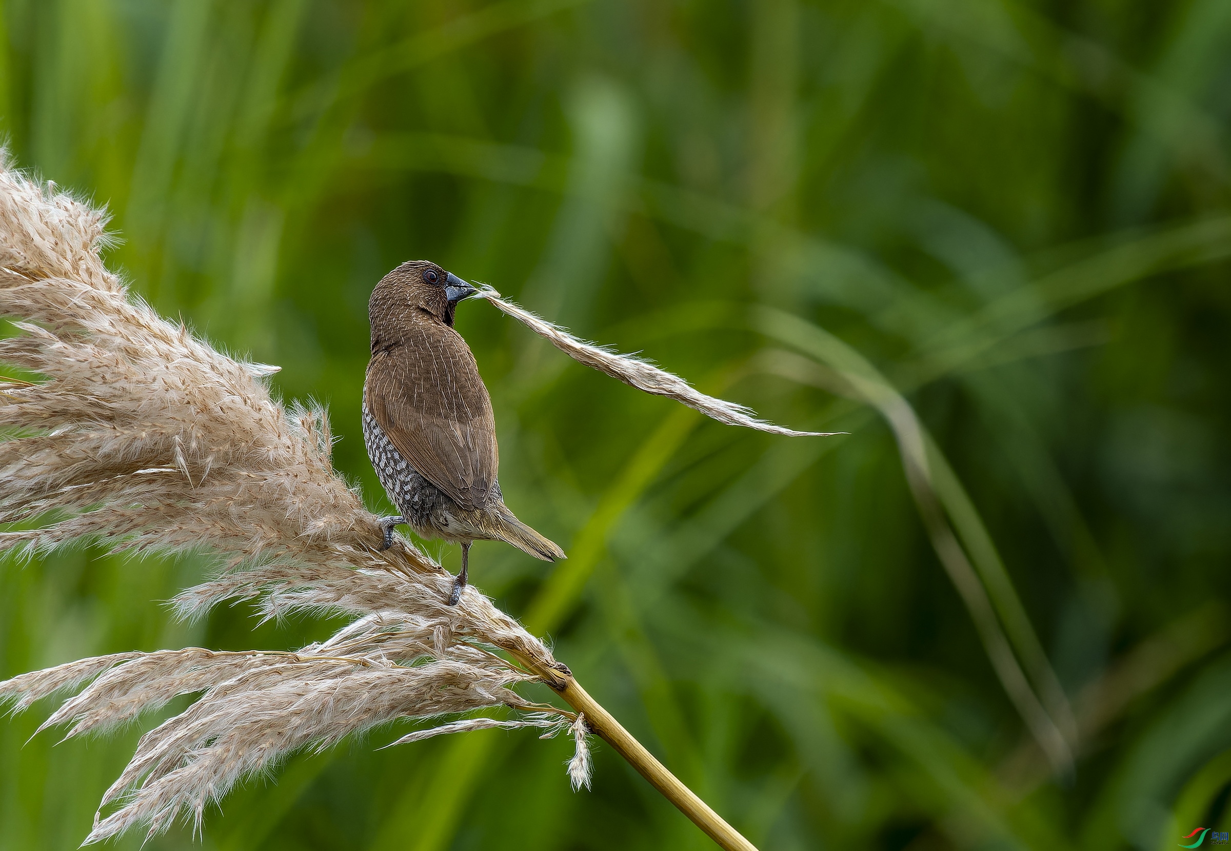 ������ (6).jpg