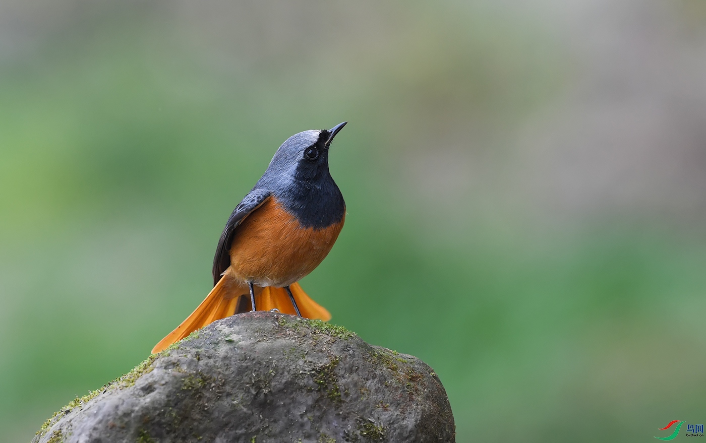 DSC_0437.jpg