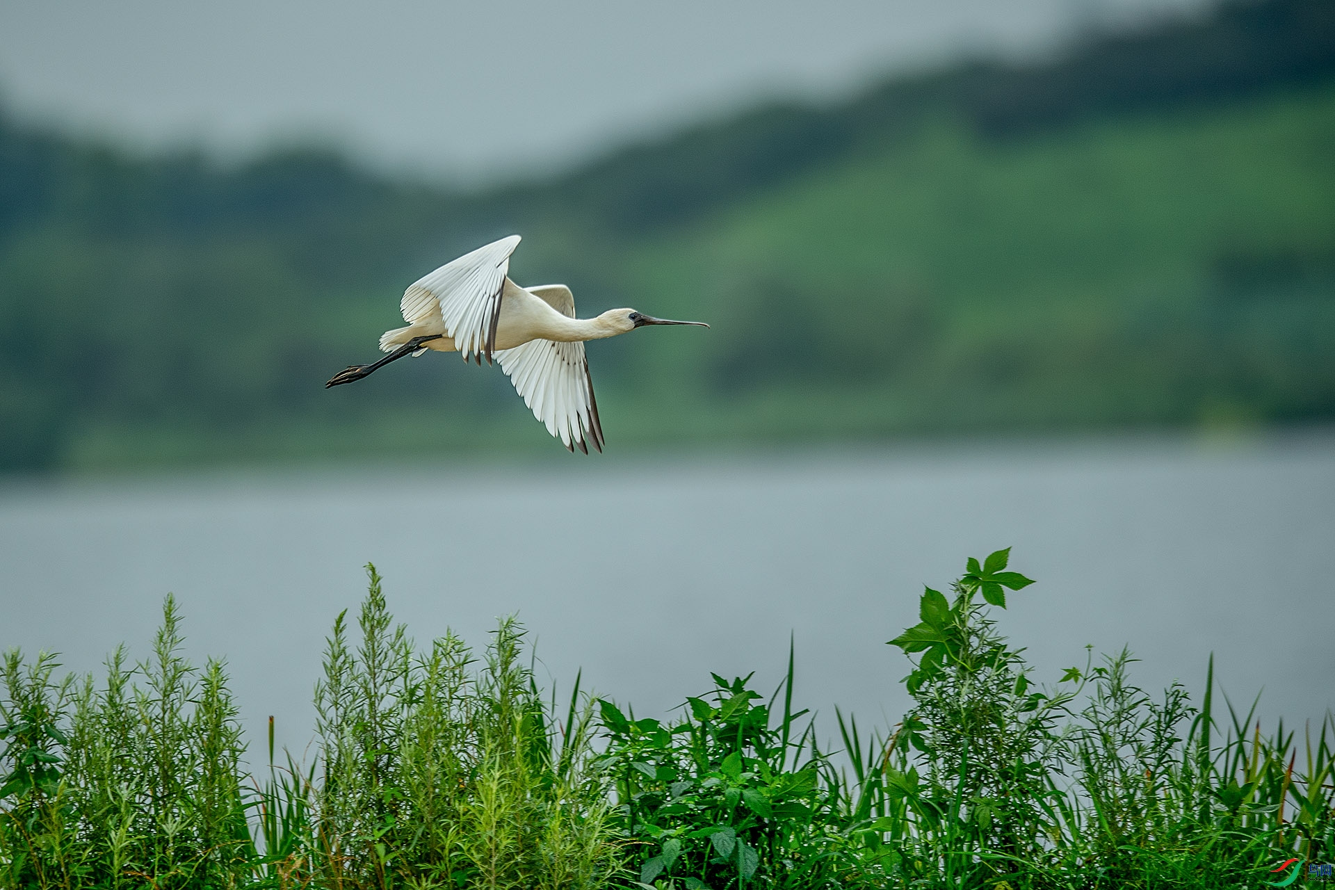 DSC_9487.jpg