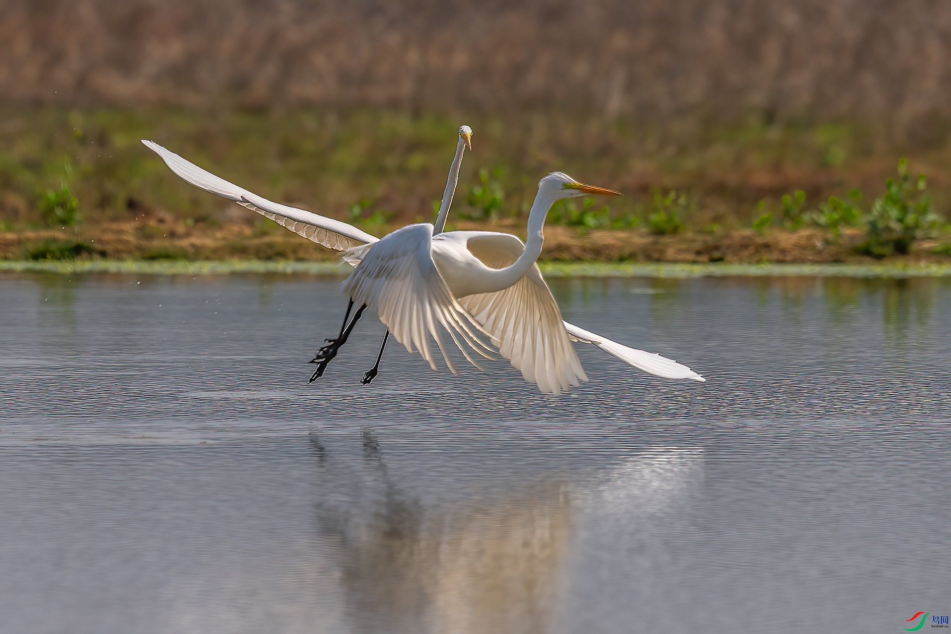 DSC_3221.jpg