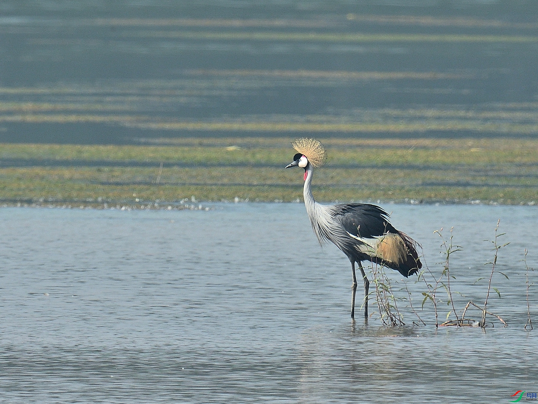DSC_8567.JPG