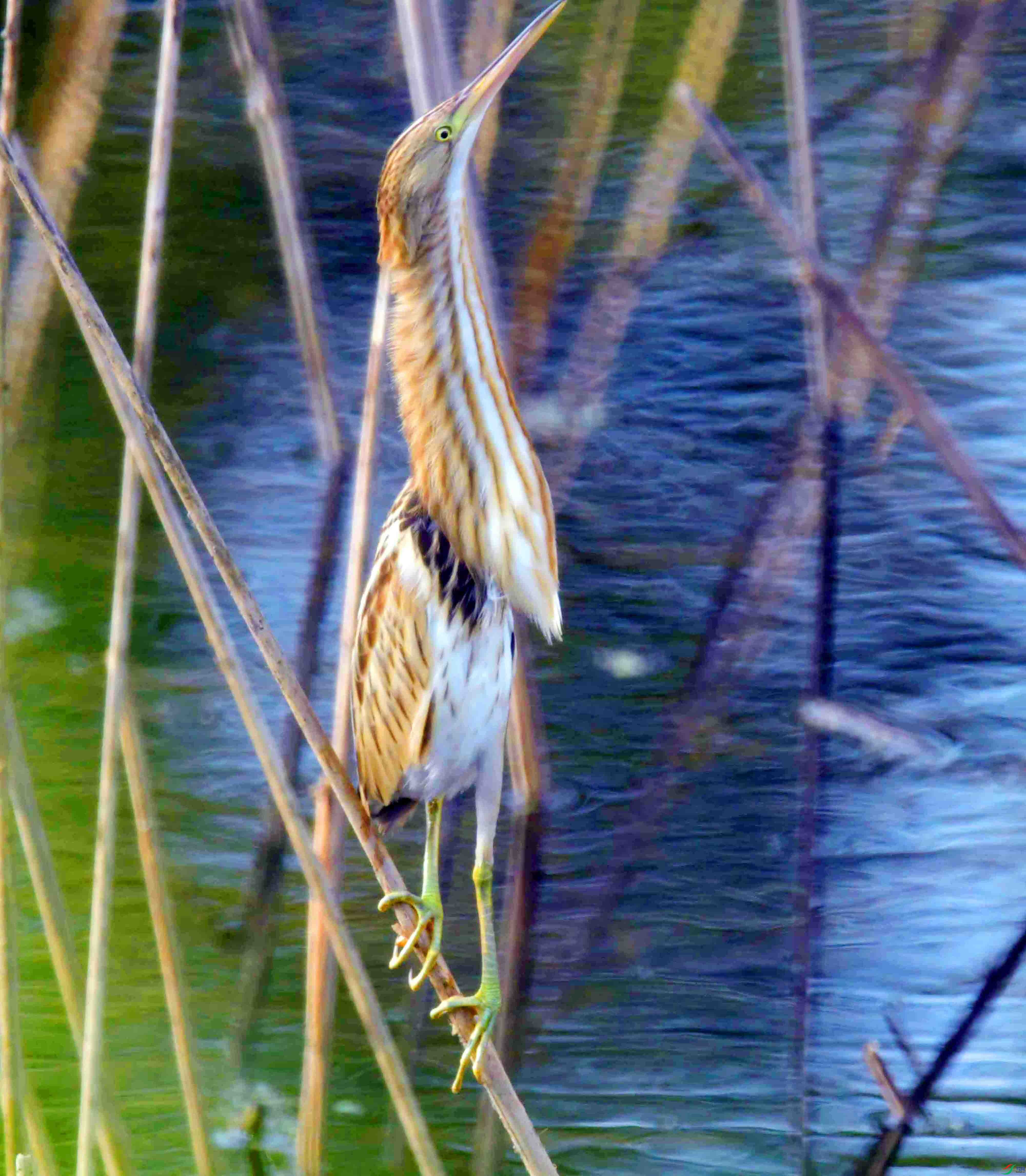 DSC_6162.JPG