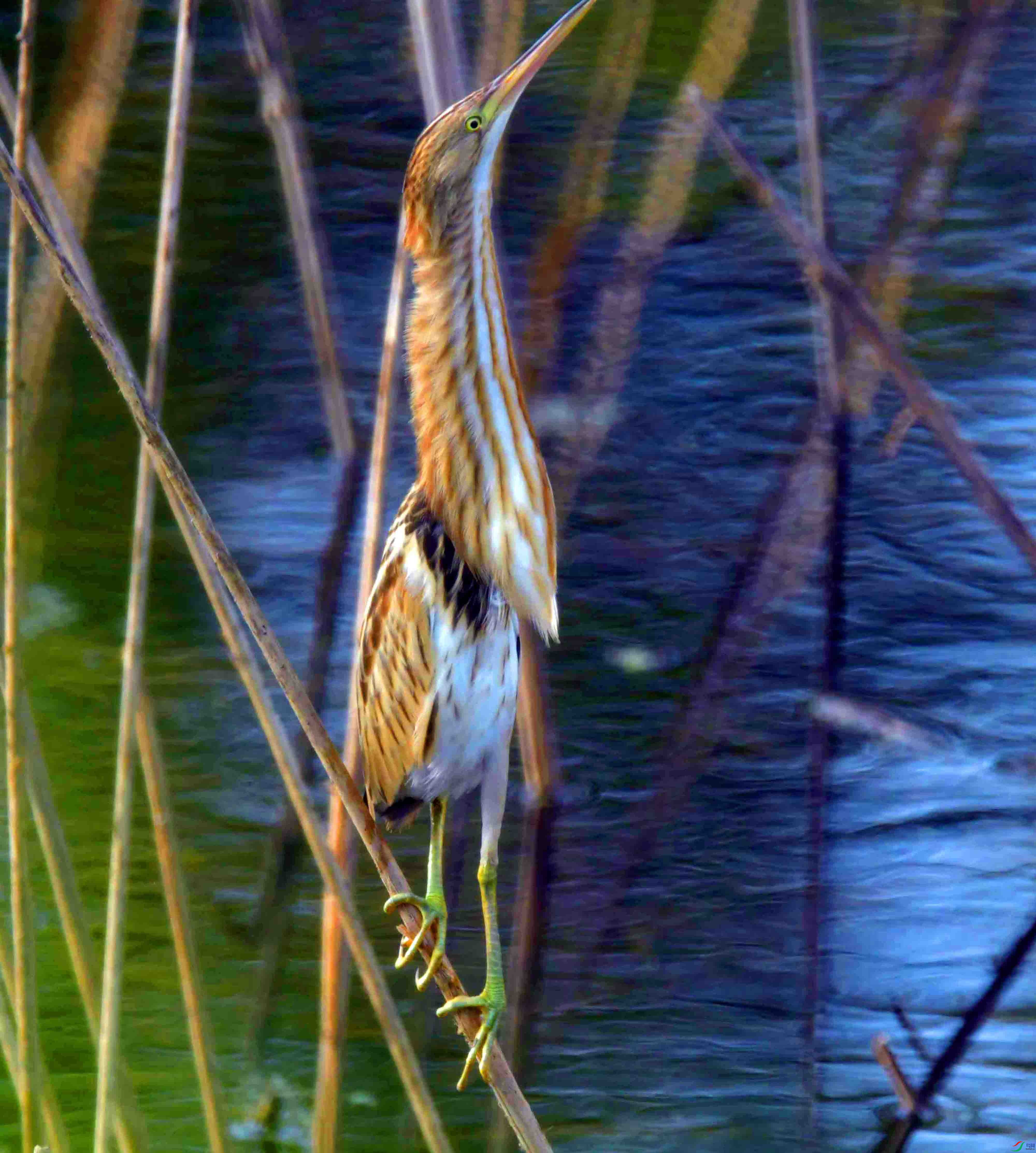 DSC_6163.JPG