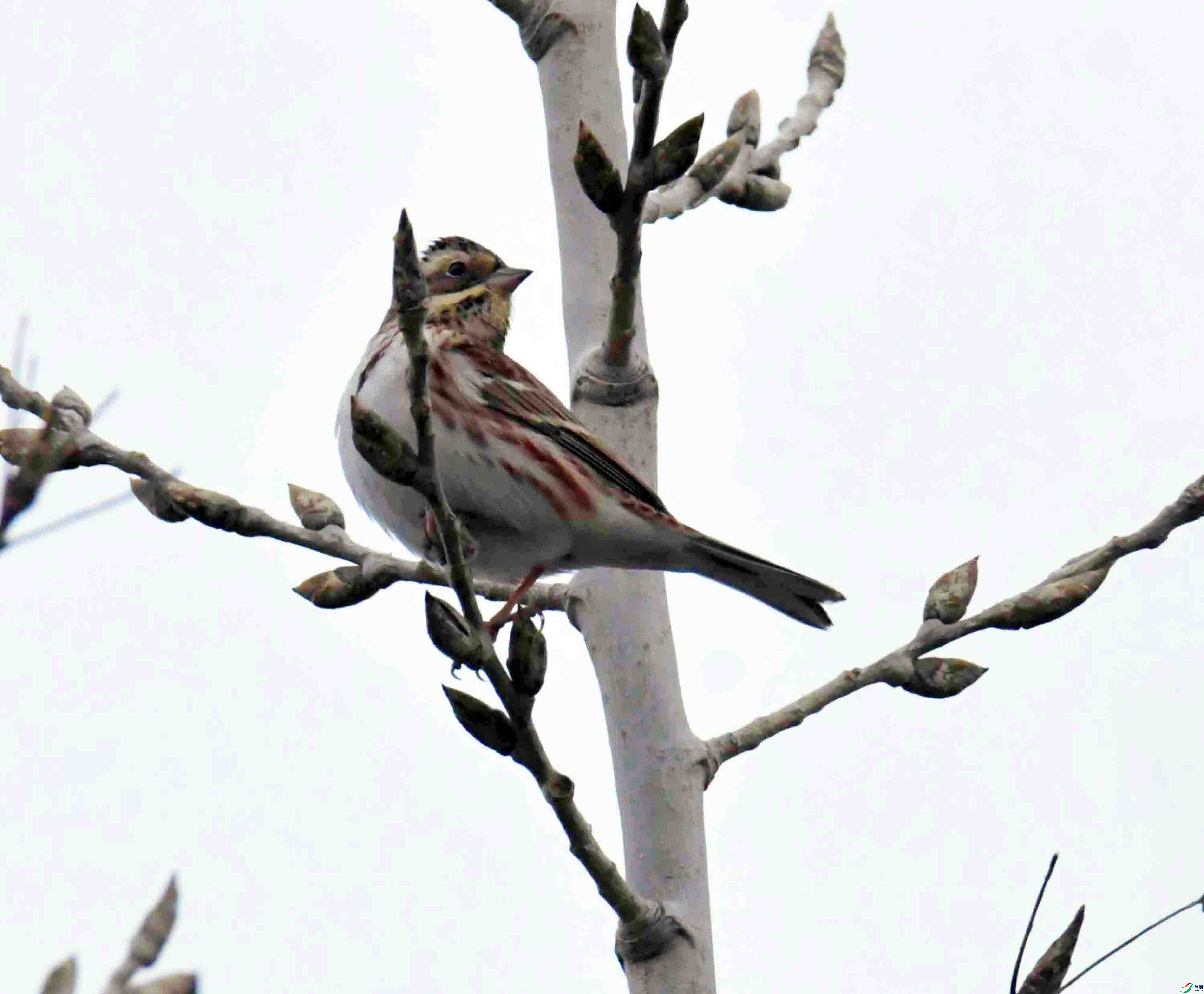 DSC_9181.JPG