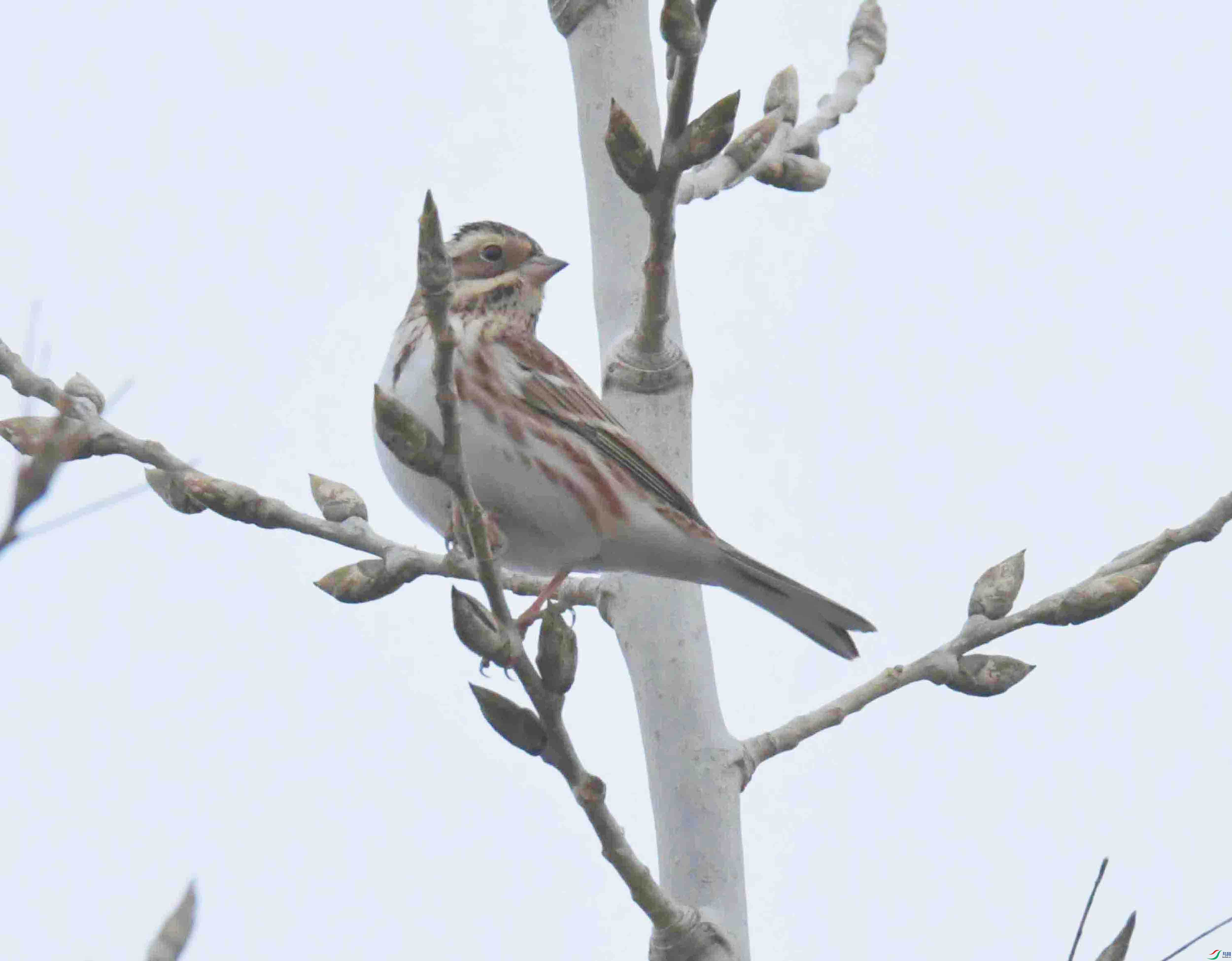 DSC_9187.JPG