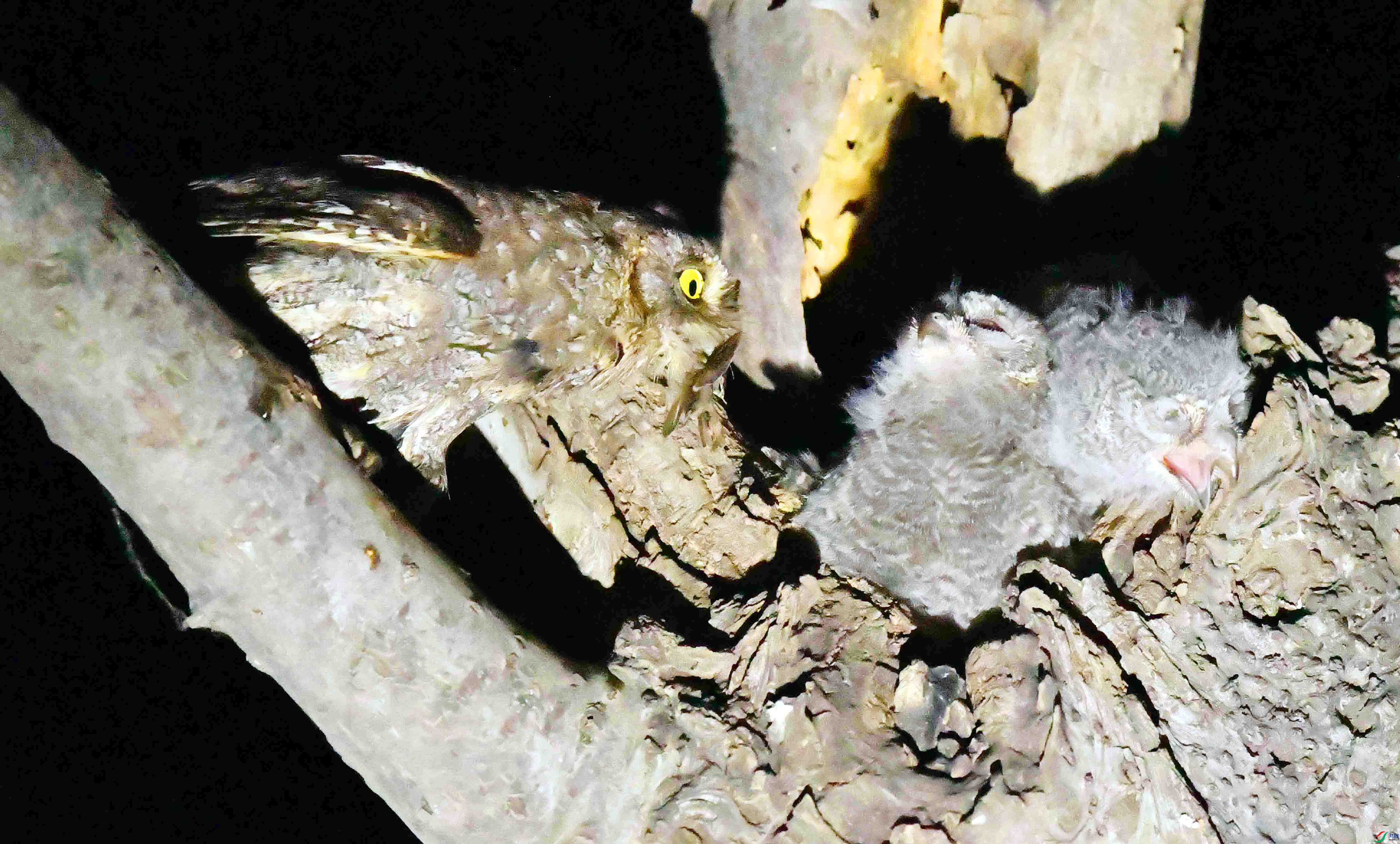 DSC_4588.JPG