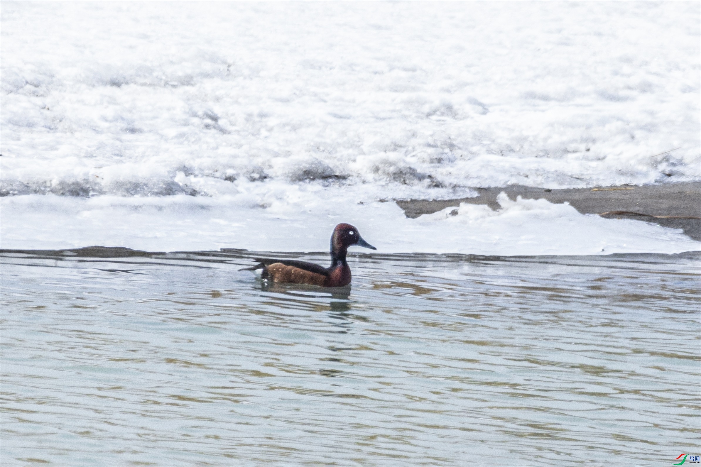 1K3A8200 ����1.jpg