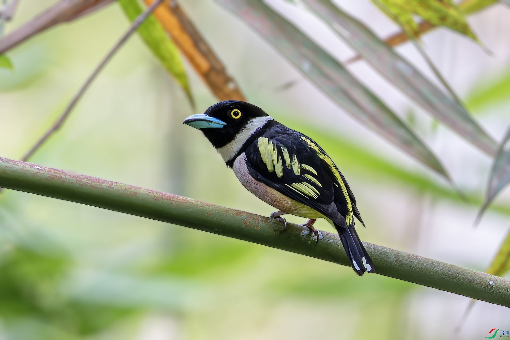 _97A4628-CR3 copy.jpg