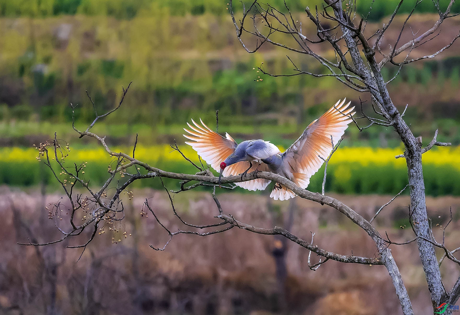 �������