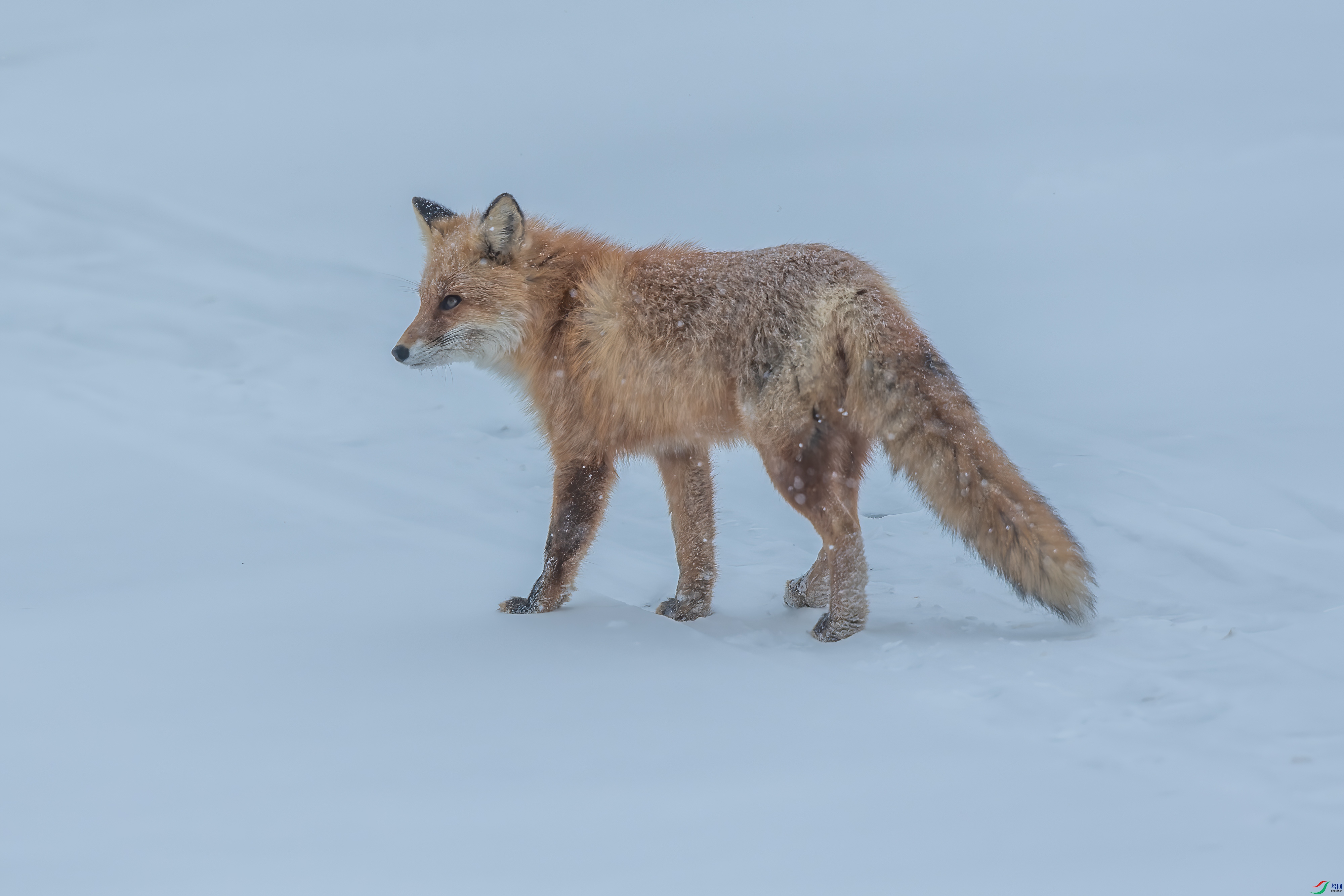 DSC_1319.jpg