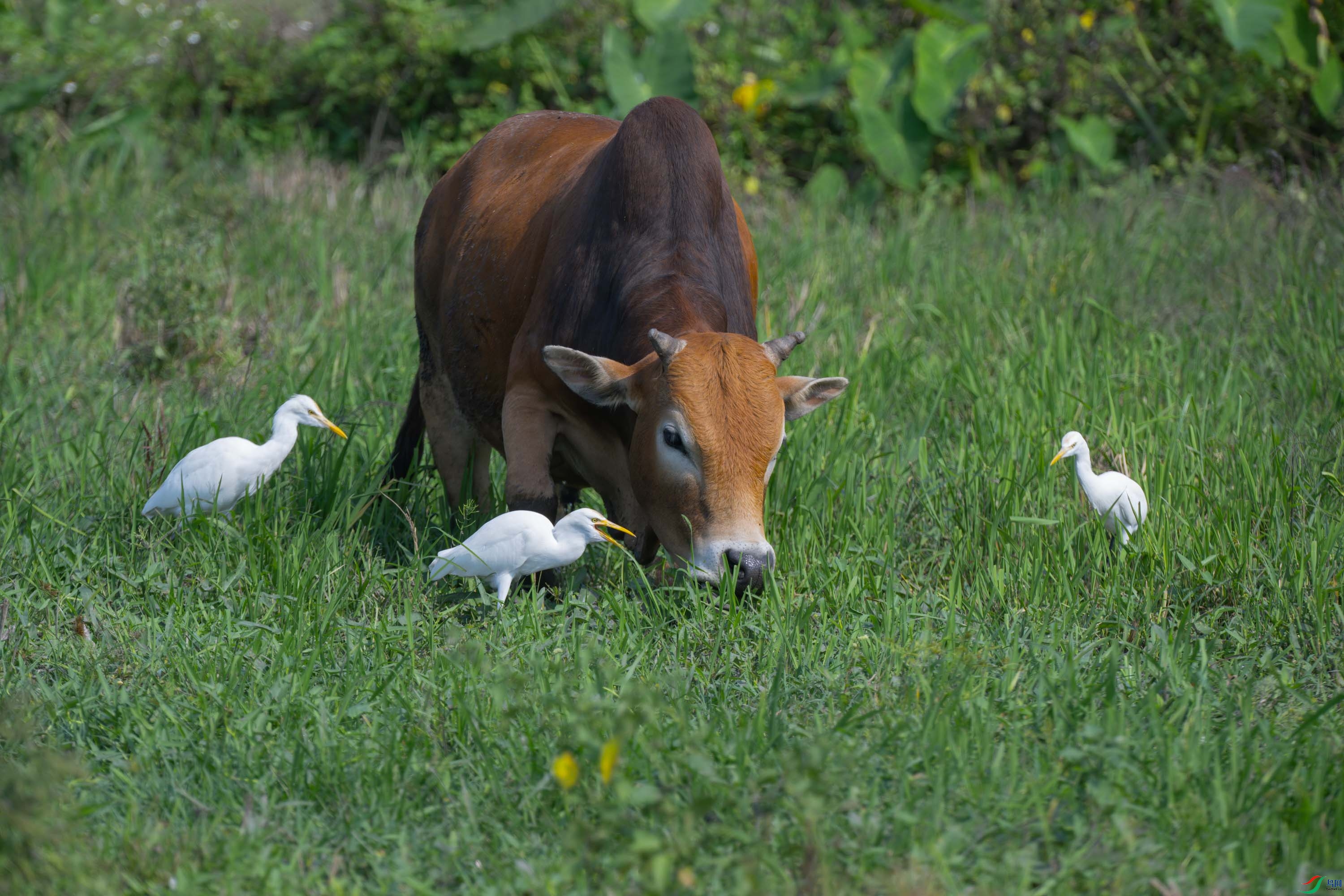 DSC_0067sen2024-2-4-3-�༭.jpg