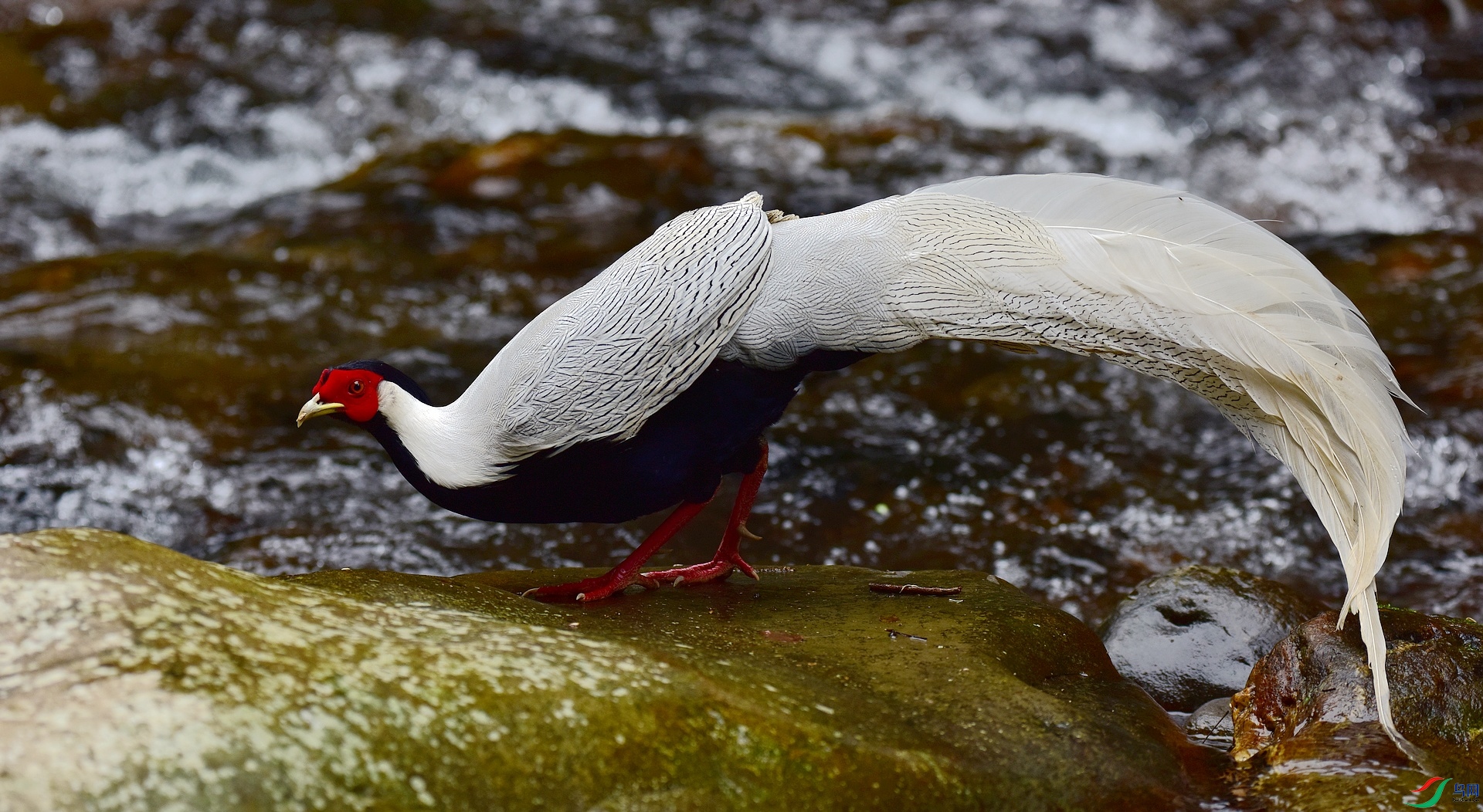 D8I_4913.jpg