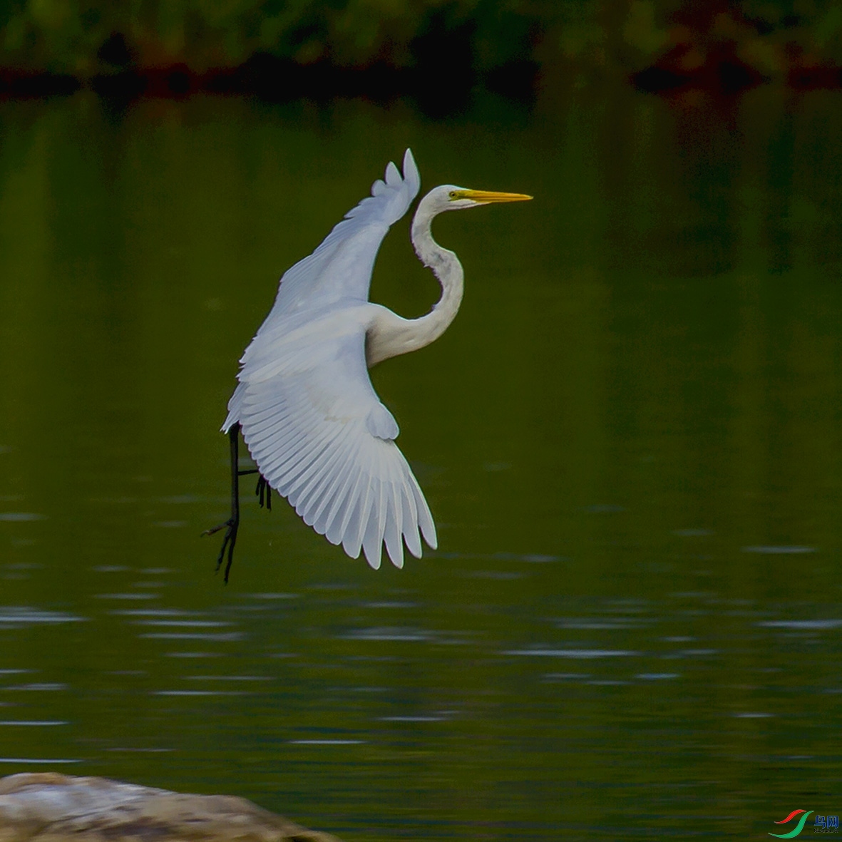 _MG_9381 ����.jpg