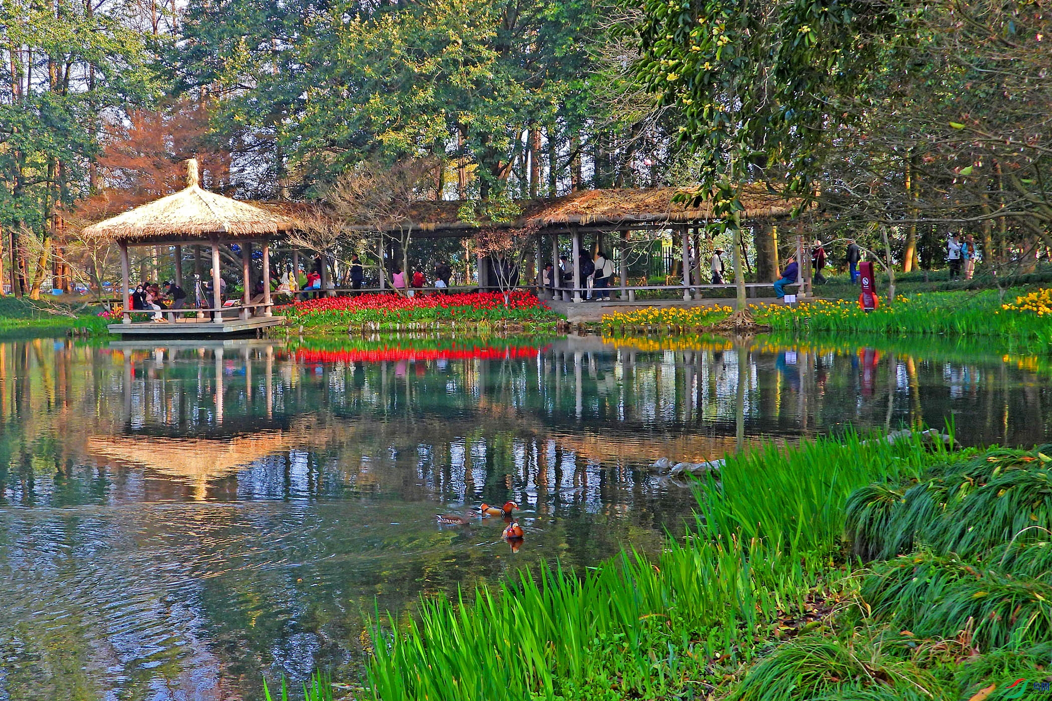 DSCN2764.JPG