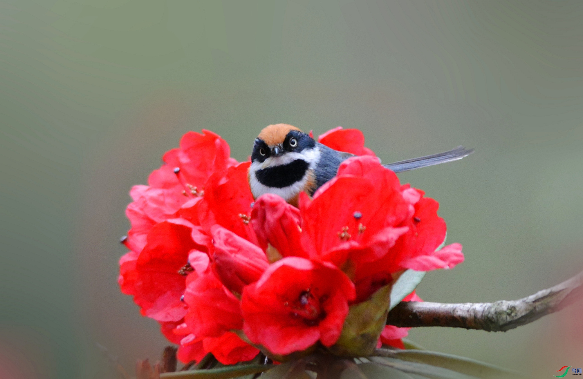 ZRS_4249_����d_����.jpg