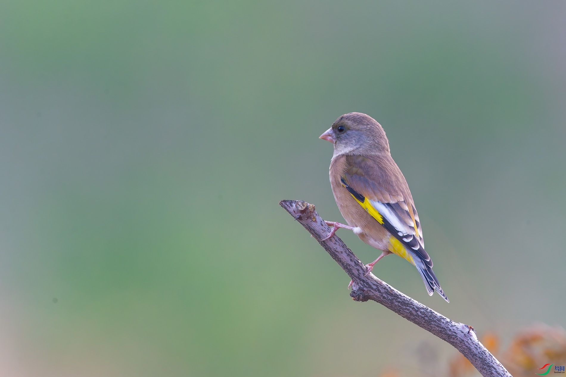 AQ4P0402-1.jpg