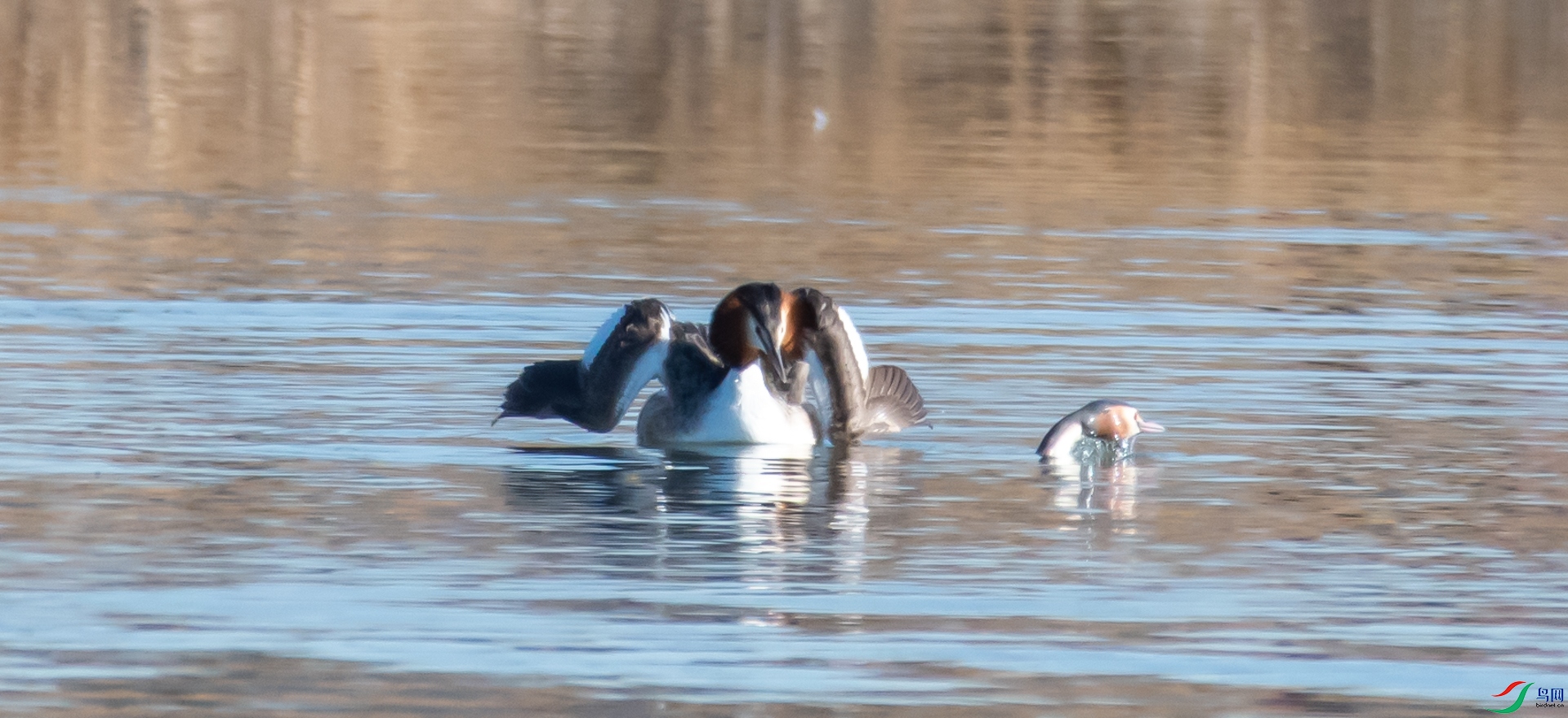 DSC_5459.jpg