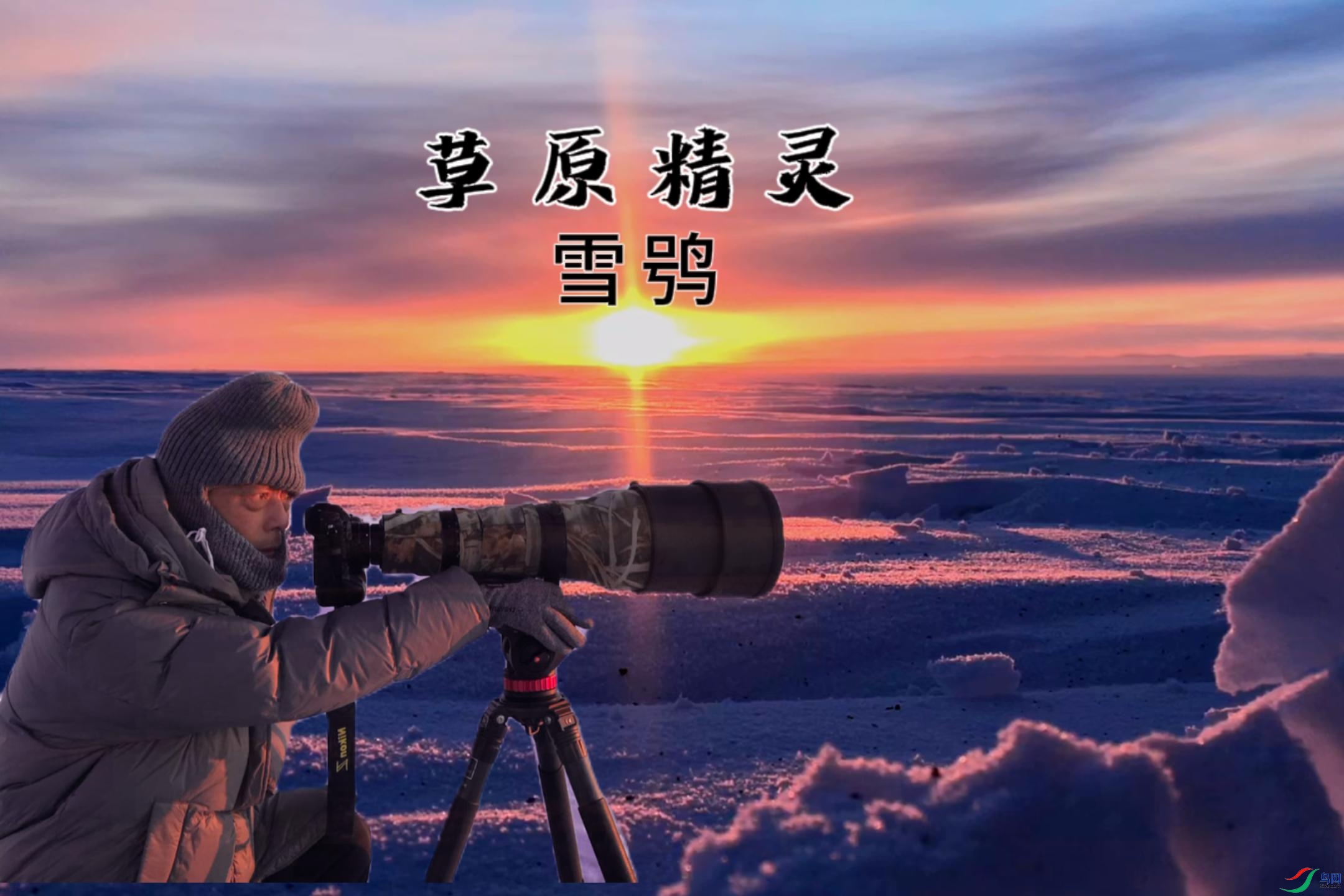 0319-����.jpg