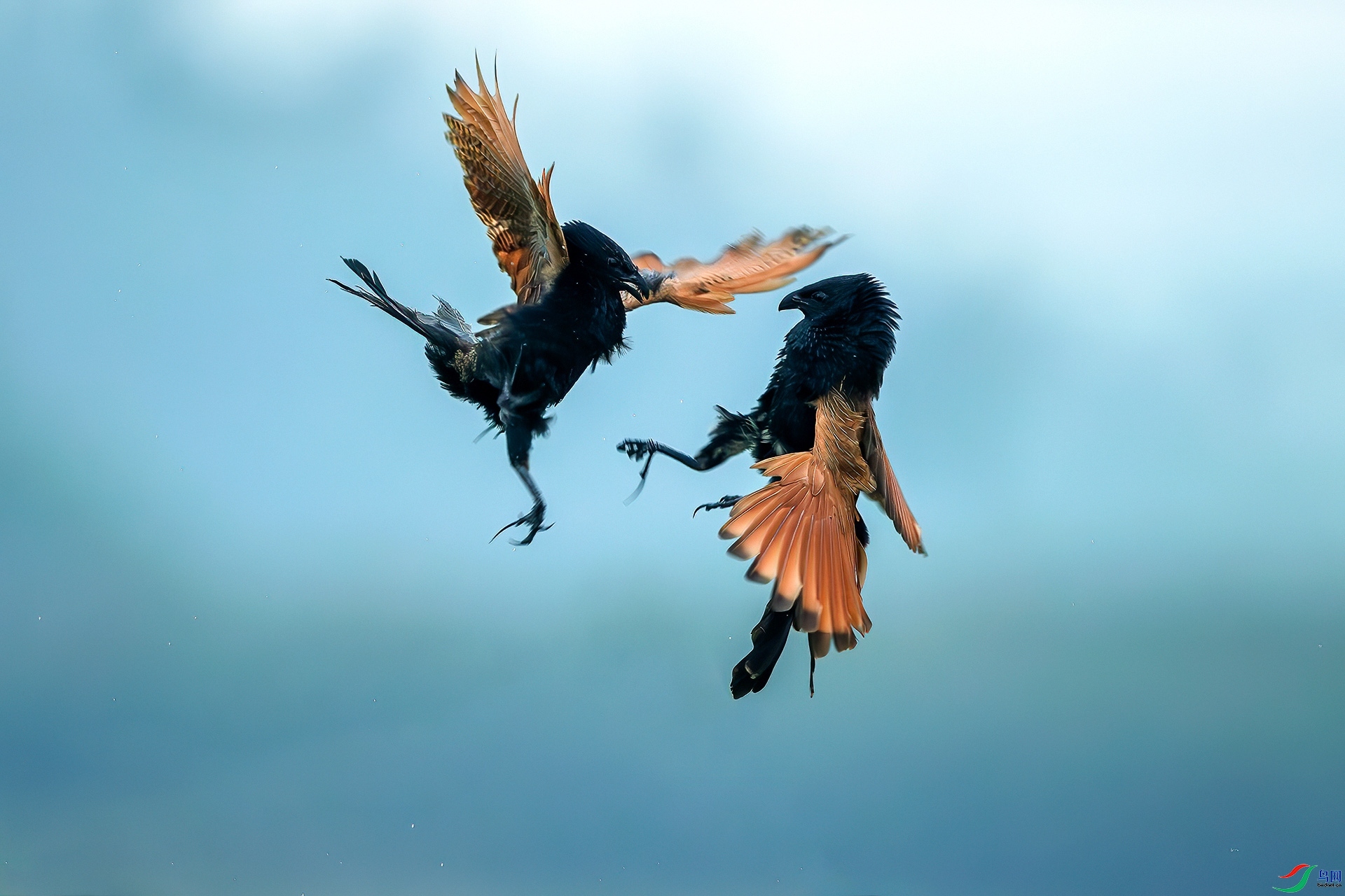 3.16  �ɵ���ʦ��Ʒ  ��ս  �ٻ�2024��3��16����Ӱʦ��ҳ����.jpg