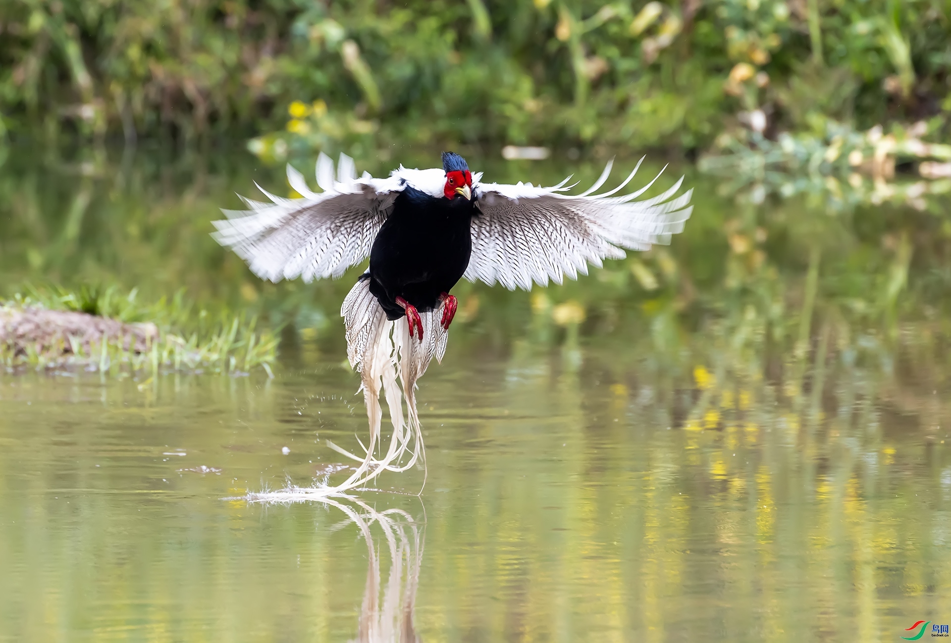 3.16 ��Ӱ������ʦ��Ʒ  ��Խ(A5)  �ٻ�2024��3��15��������ҳ����.jpg