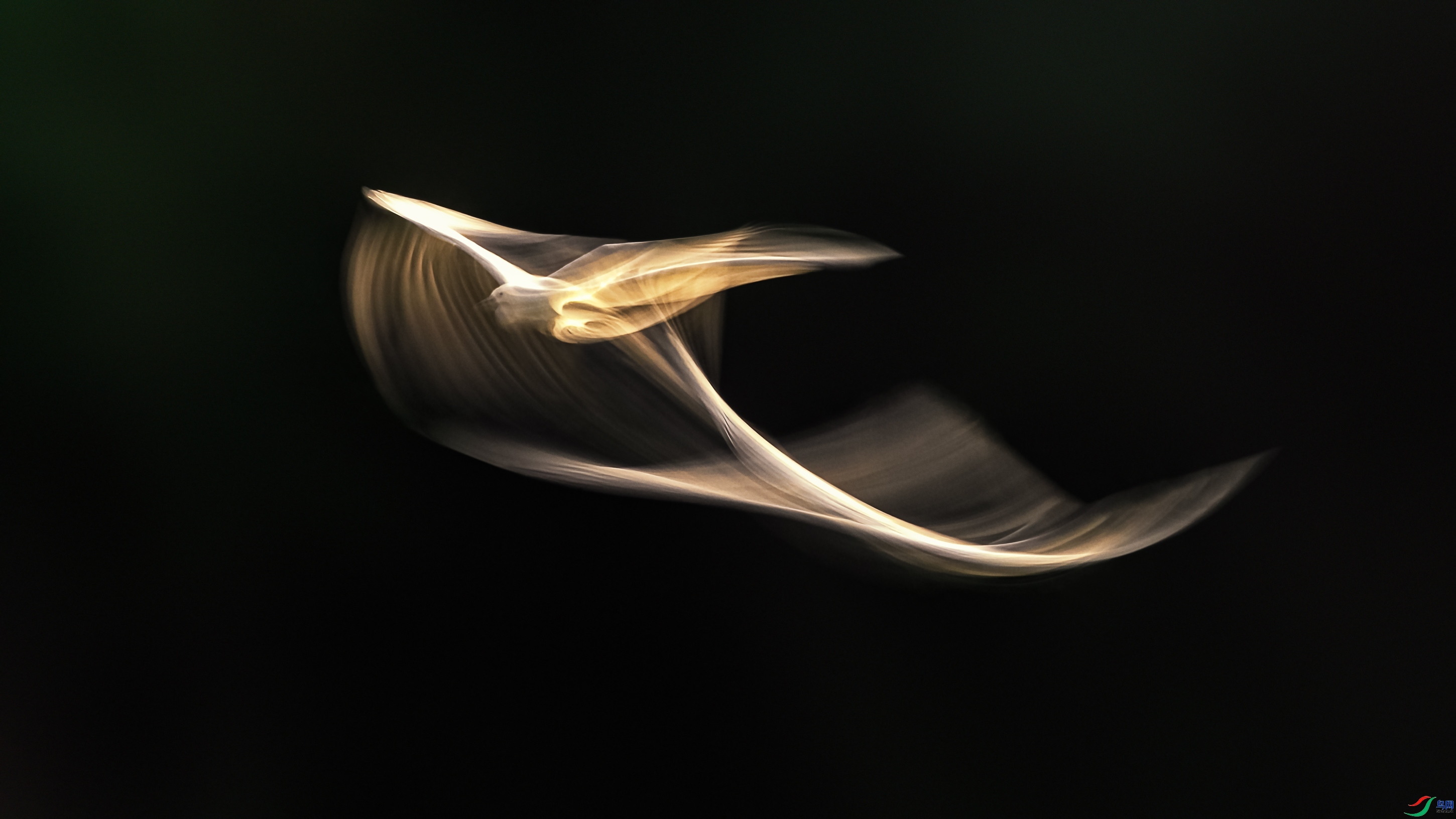 3.17 Hsia��ʦ��Ʒ  ���  �ٻ�2024��3��17�հ�����ҳ����.jpg