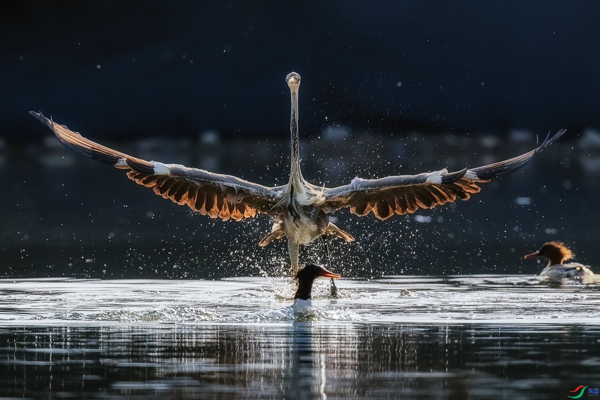 3.17 ��ʯɽ����ʦ��Ʒ  ����  �ٻ�2024��3��17��������ҳ����.jpg