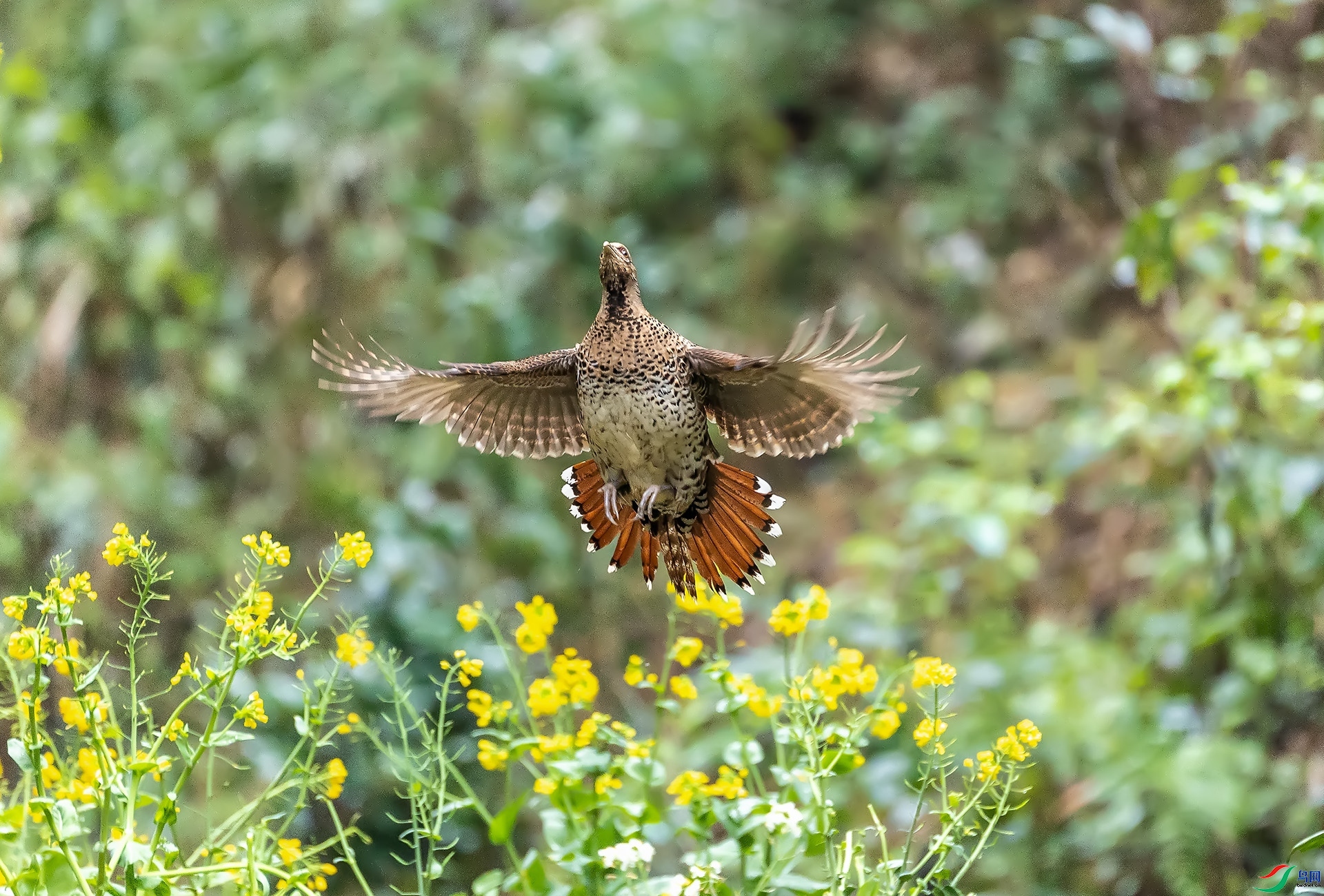 3.17 ��Ӱ������ʦ��Ʒ  ��Խ(01)  �ٻ�2024��3��17��������ҳ����.jpg