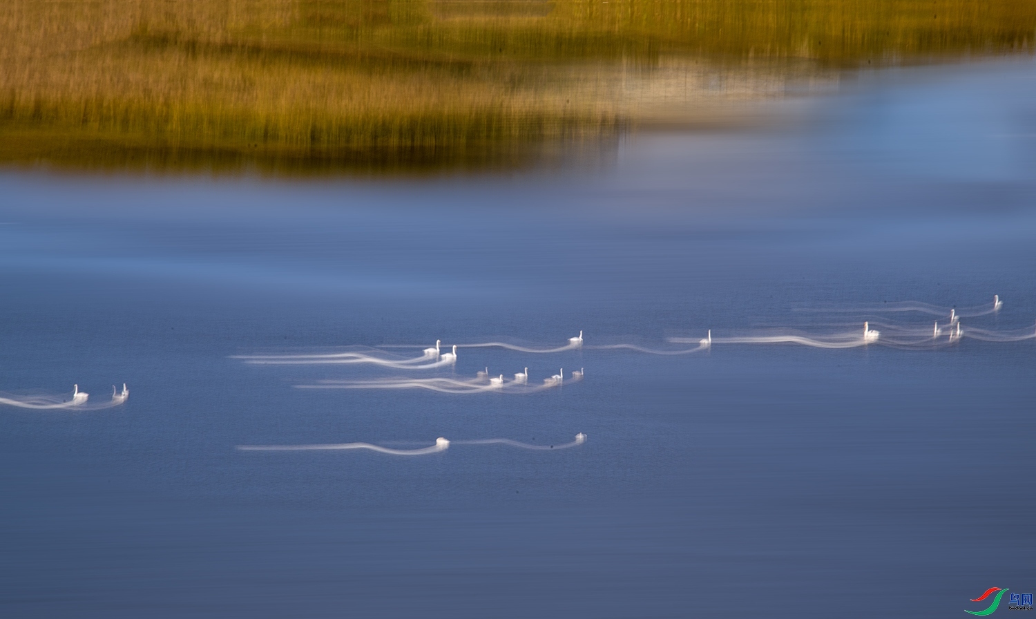 3.17 ����ǿ��ʦ��Ʒ  ����Ʈ��  �ٻ�2024��3��17�հ�����ҳ����.jpg