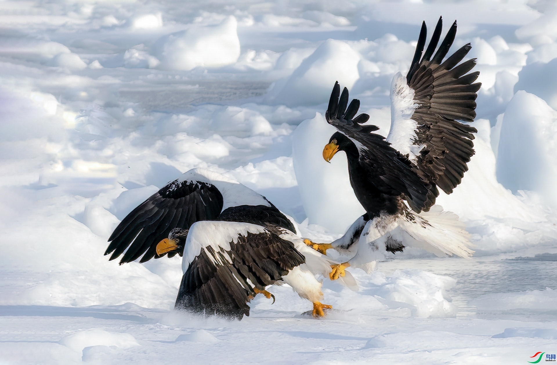 3.18 ���DK��ʦ��Ʒ  �Ź���  �ٻ�2024��3��18��������ҳ����.jpg