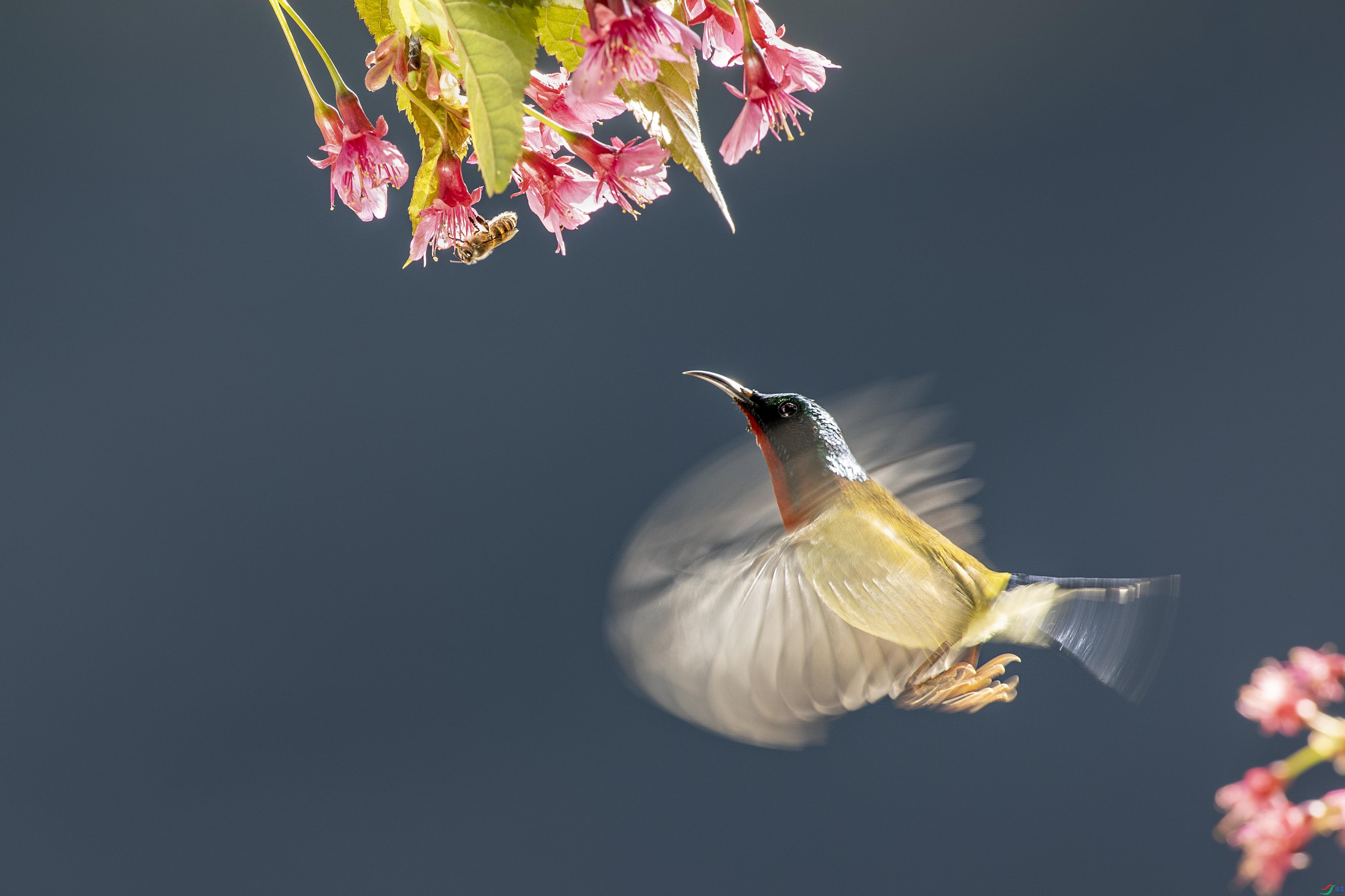 3.19 ���Լ����ʦ��Ʒ  ����Լ  �ٻ�2024��3��19�ջ�Ա��ҳ����.jpg