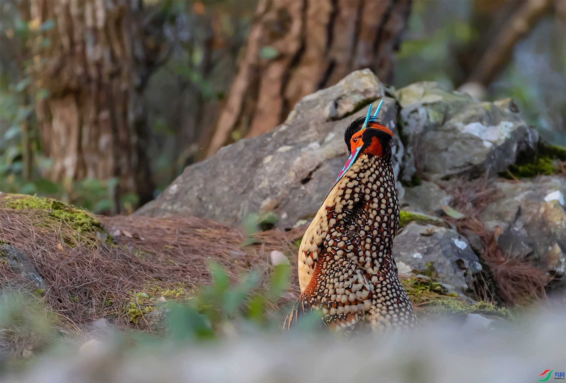 3.19 ��Ӱ������ʦ��Ʒ  �Ƹ�����(03)  �ٻ�2024��3��19��������ҳ����.jpg