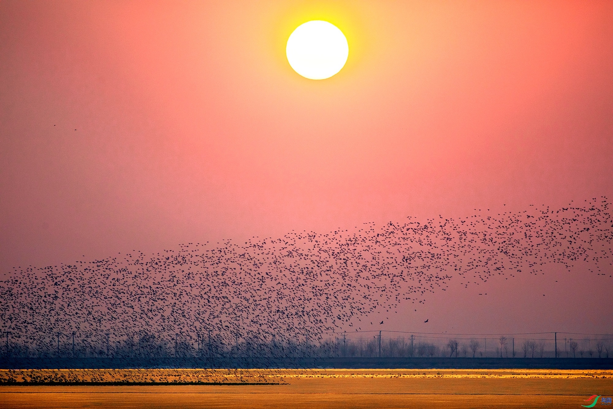 3.19 Ұâ��ʦ��Ʒ  ����֮��  �ٻ�2024��3��19����Ӱʦ��ҳ����.jpg