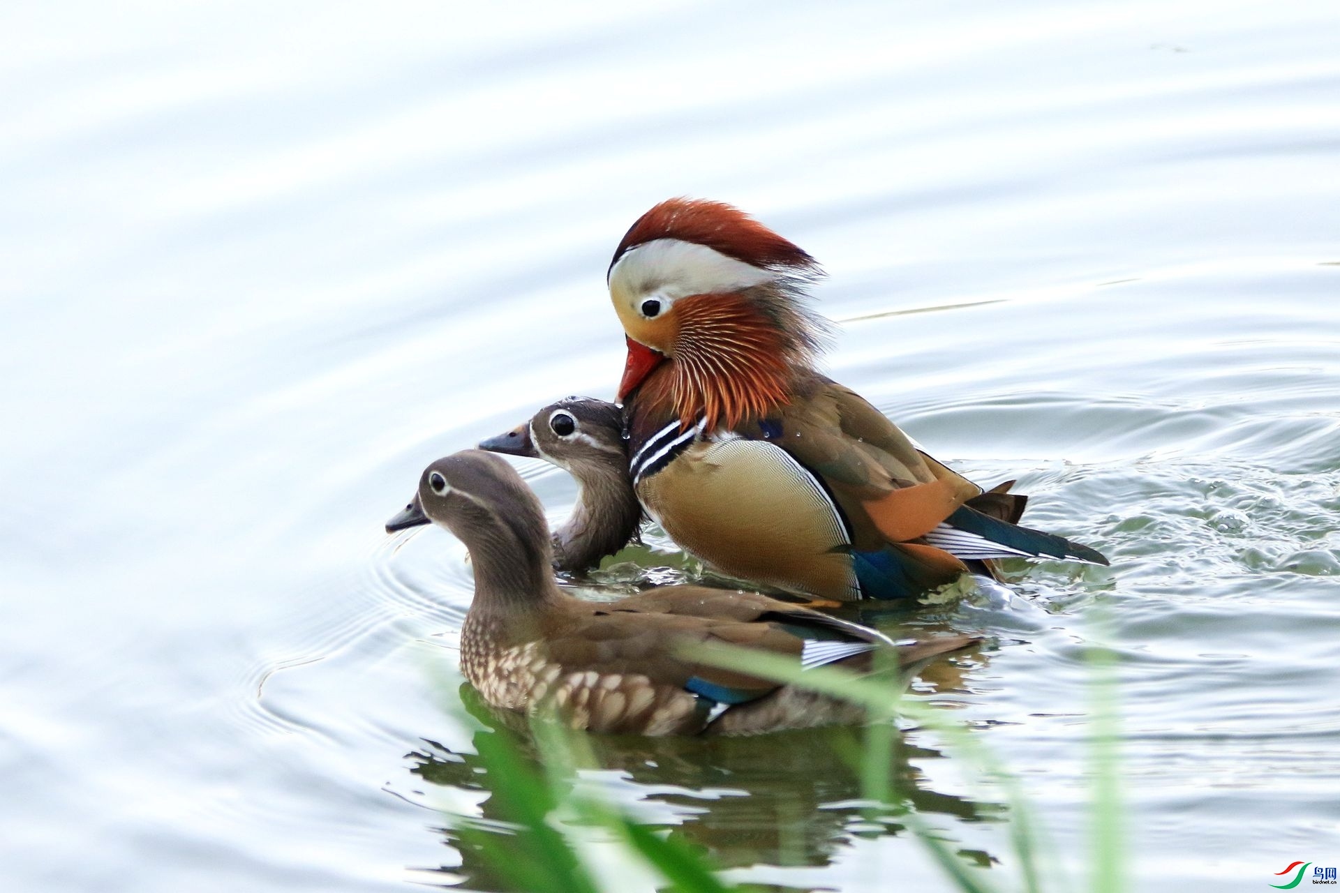 3.20 �׺�ɳ����ʦ��Ʒ  �������˻�  �ٻ�2024��3��20�ջ�Ա��ҳ����.jpg