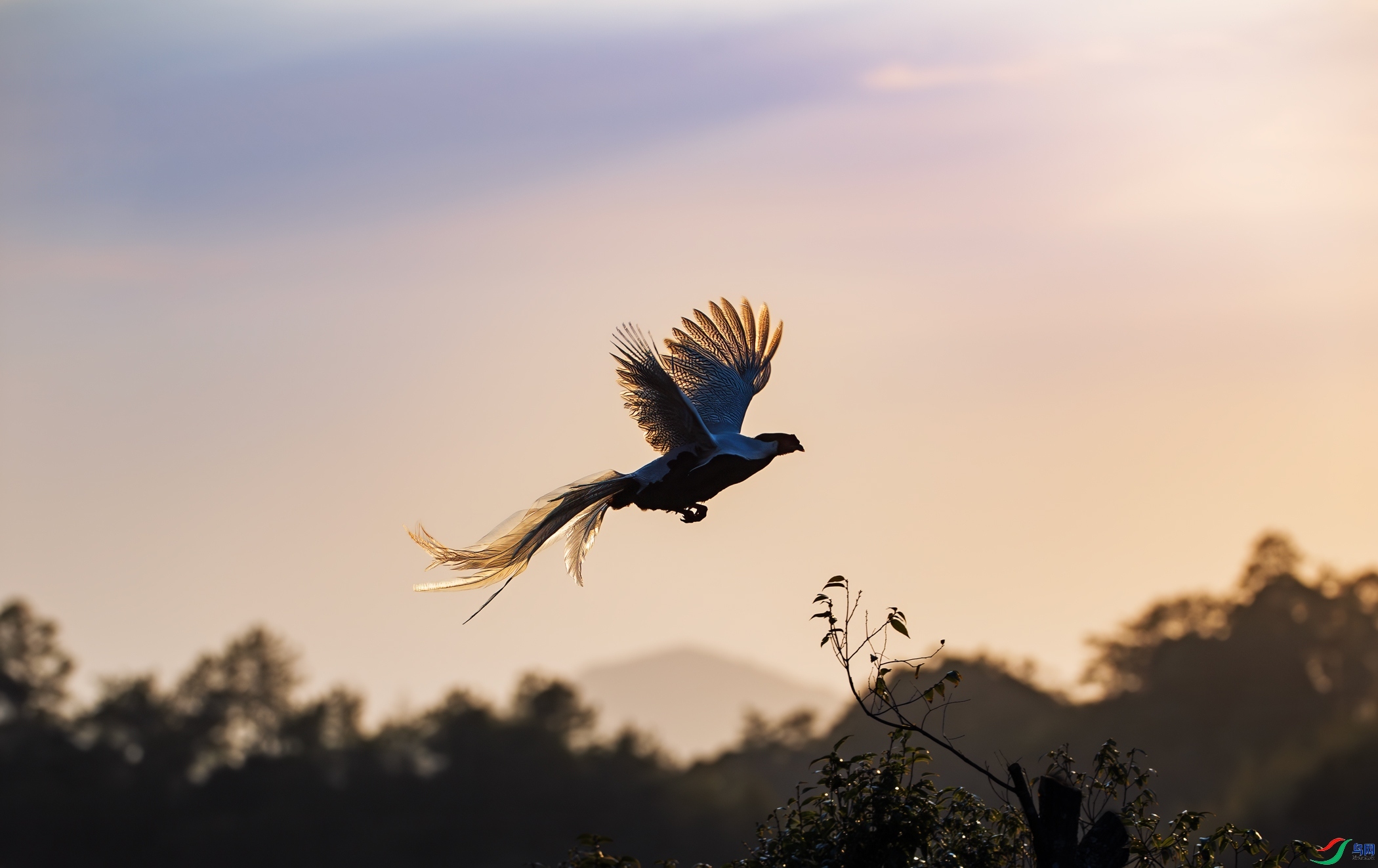 3.20 ����������ʦ��Ʒ  ����  �ٻ�2024��3��20�հ�����ҳ����.jpg