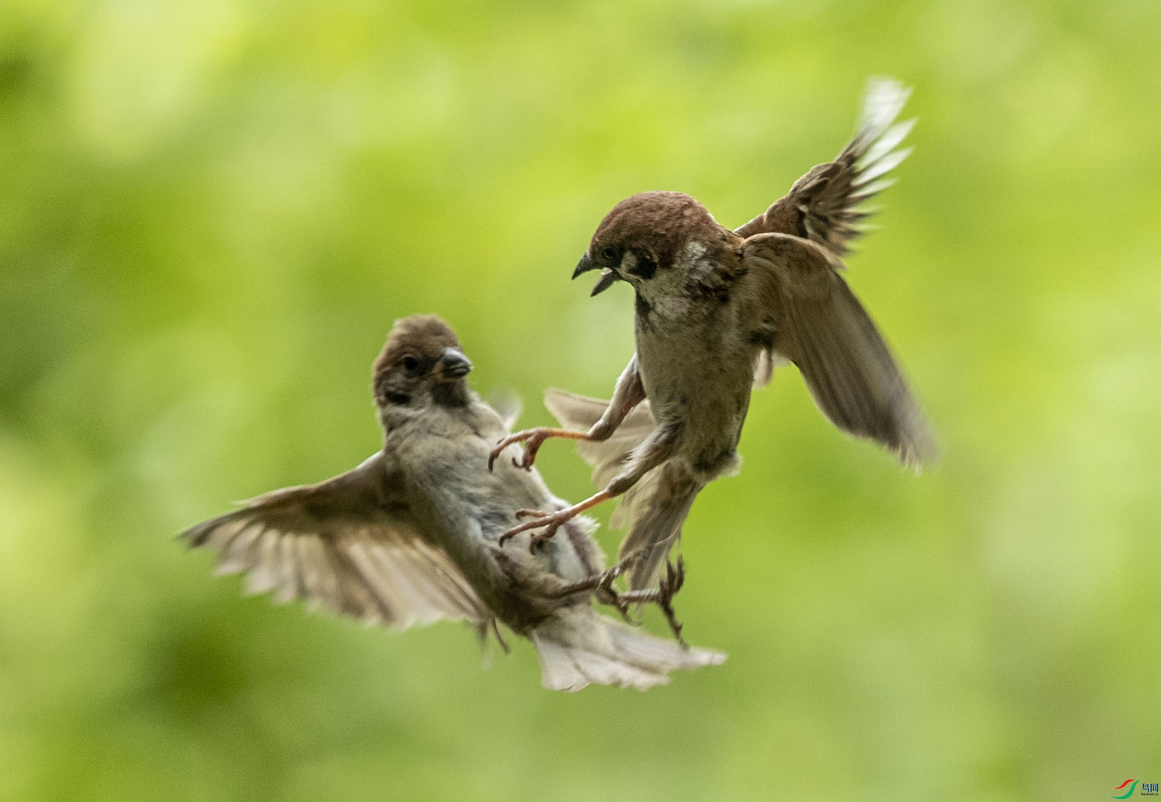 ����ʾ��