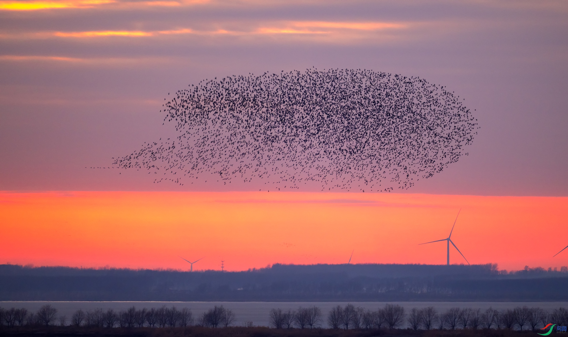 _DSC2019==1w.jpg