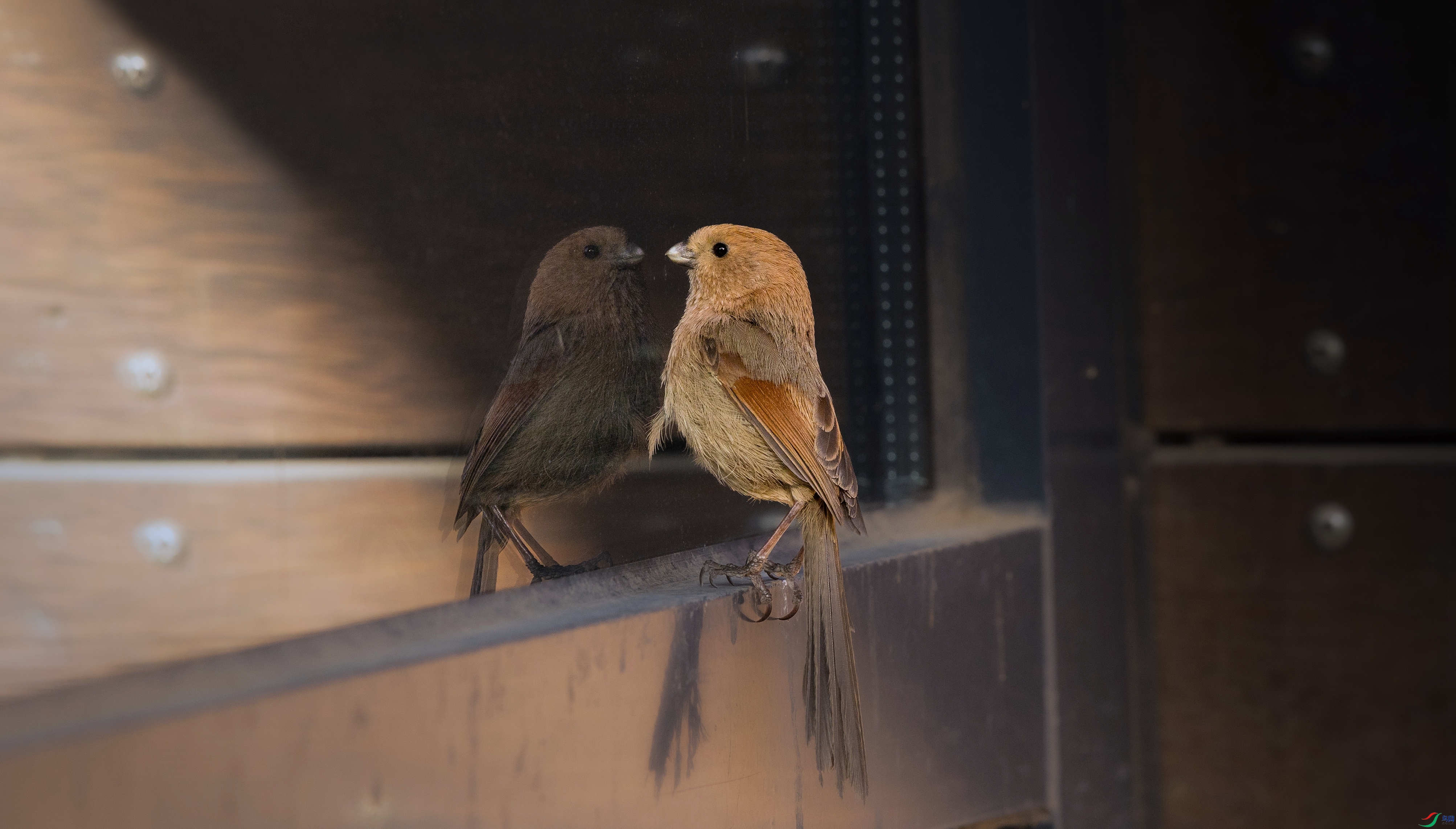 ����ȸ�վ��ӡ� - ����.jpg