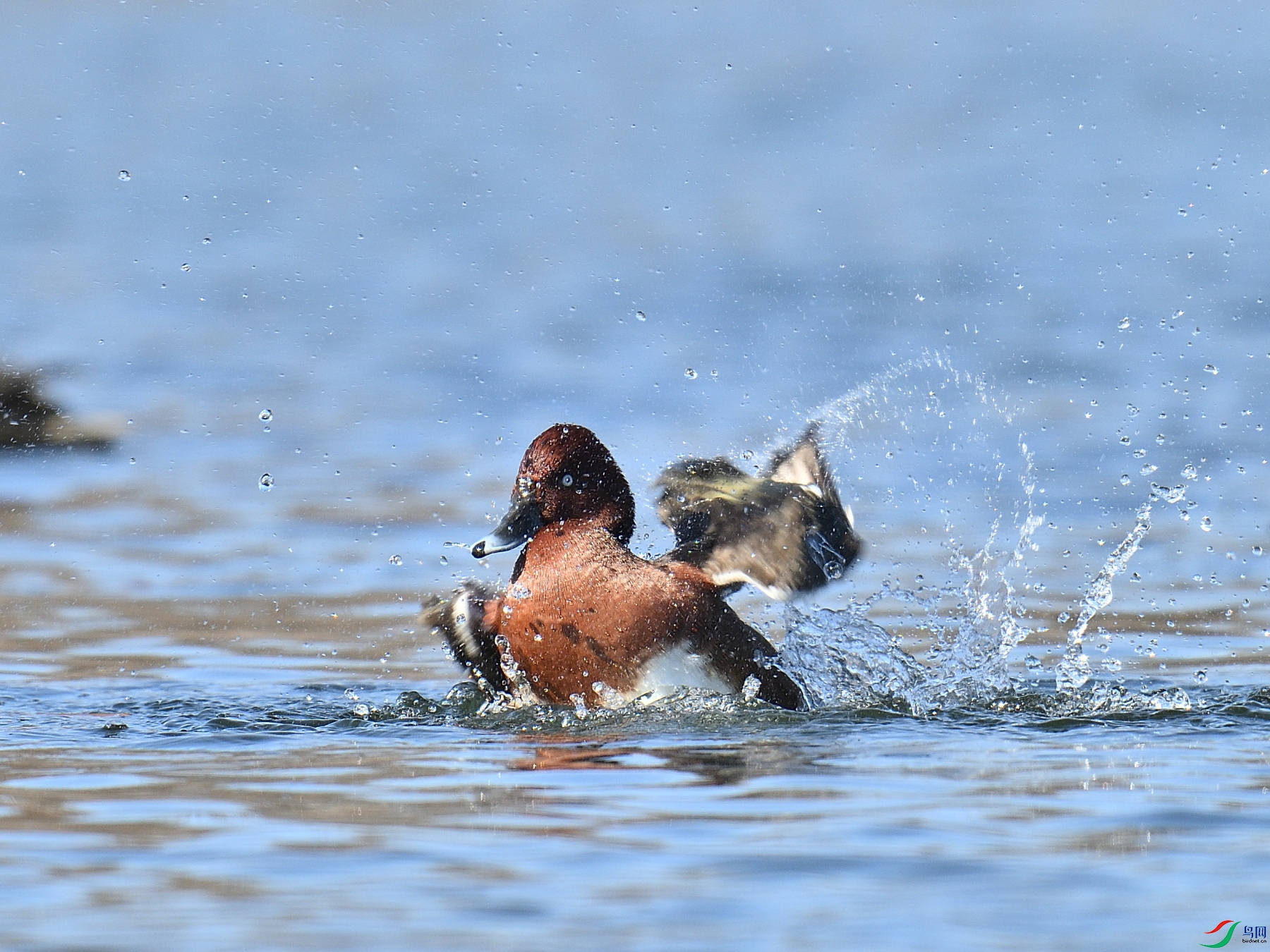DSC_5835.JPG