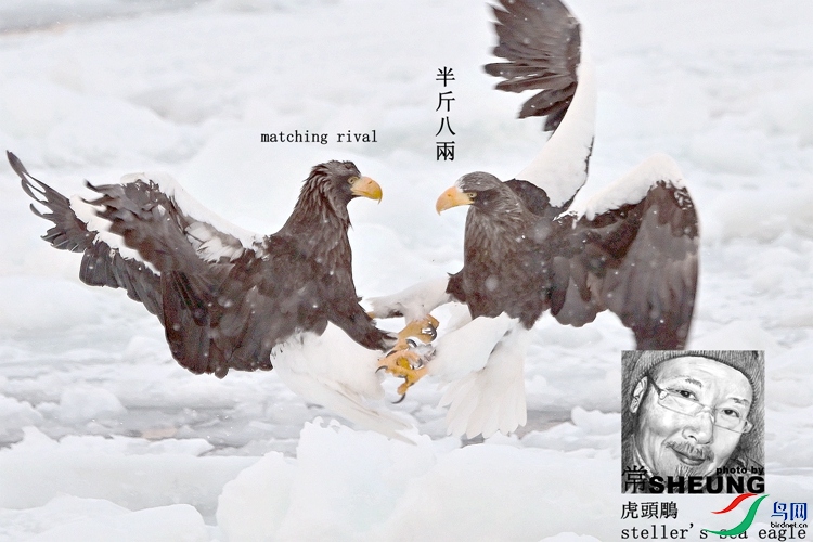 ssd DSC_0142 3nmete.jpg