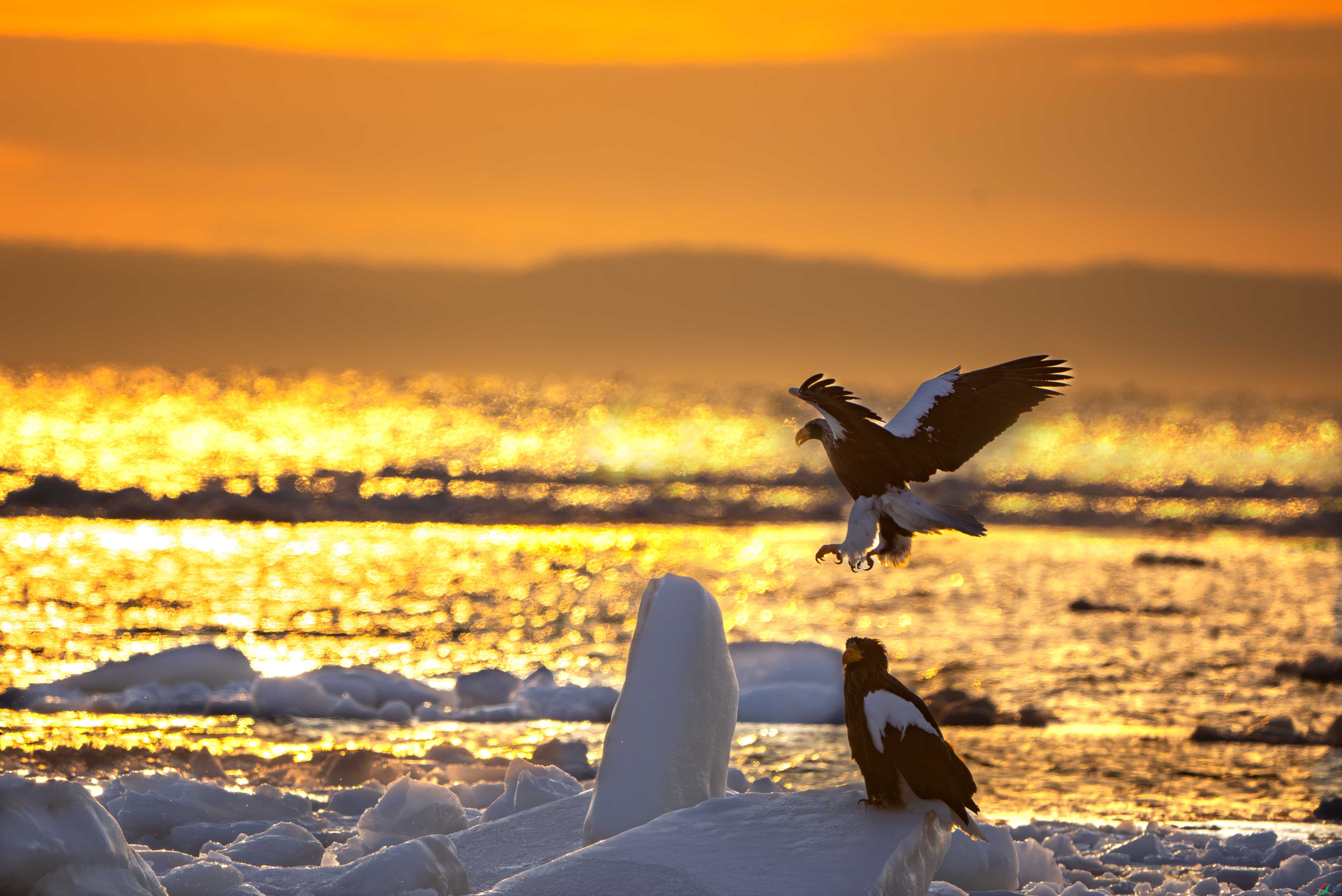 ��ͷ����