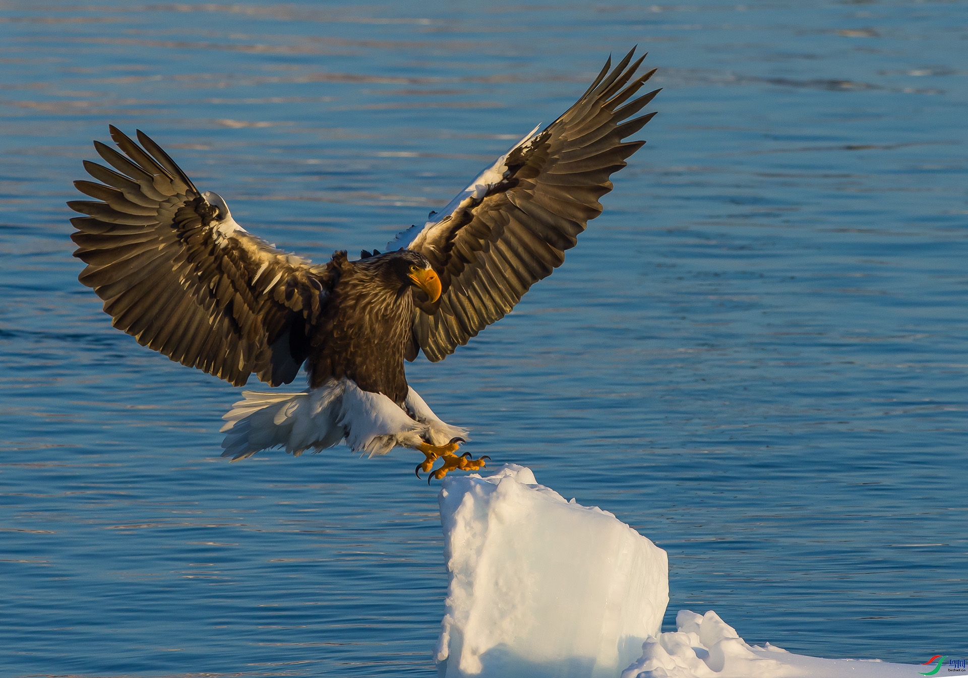 ��DSC_2167 ��ؐ.jpg