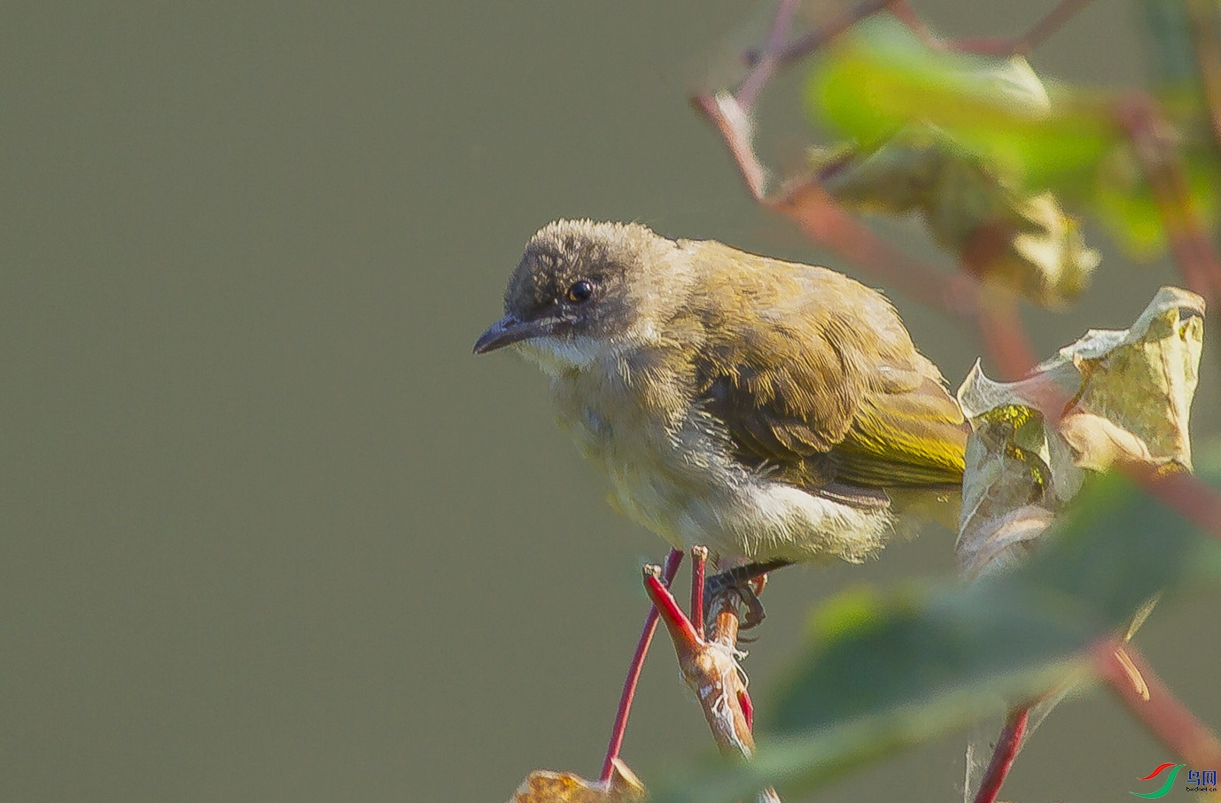 _MG_1887 ����.jpg