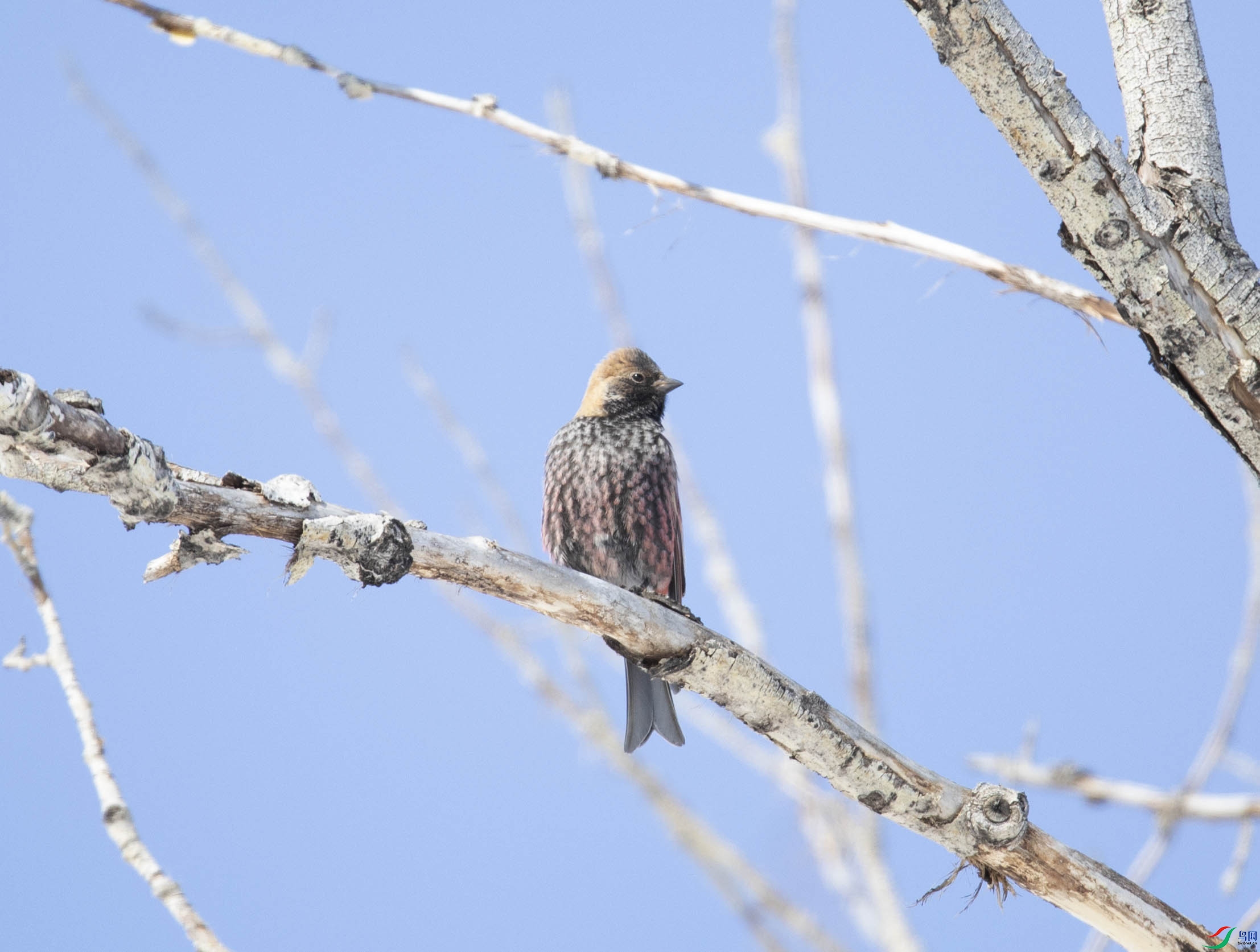 0X6A20428.jpg